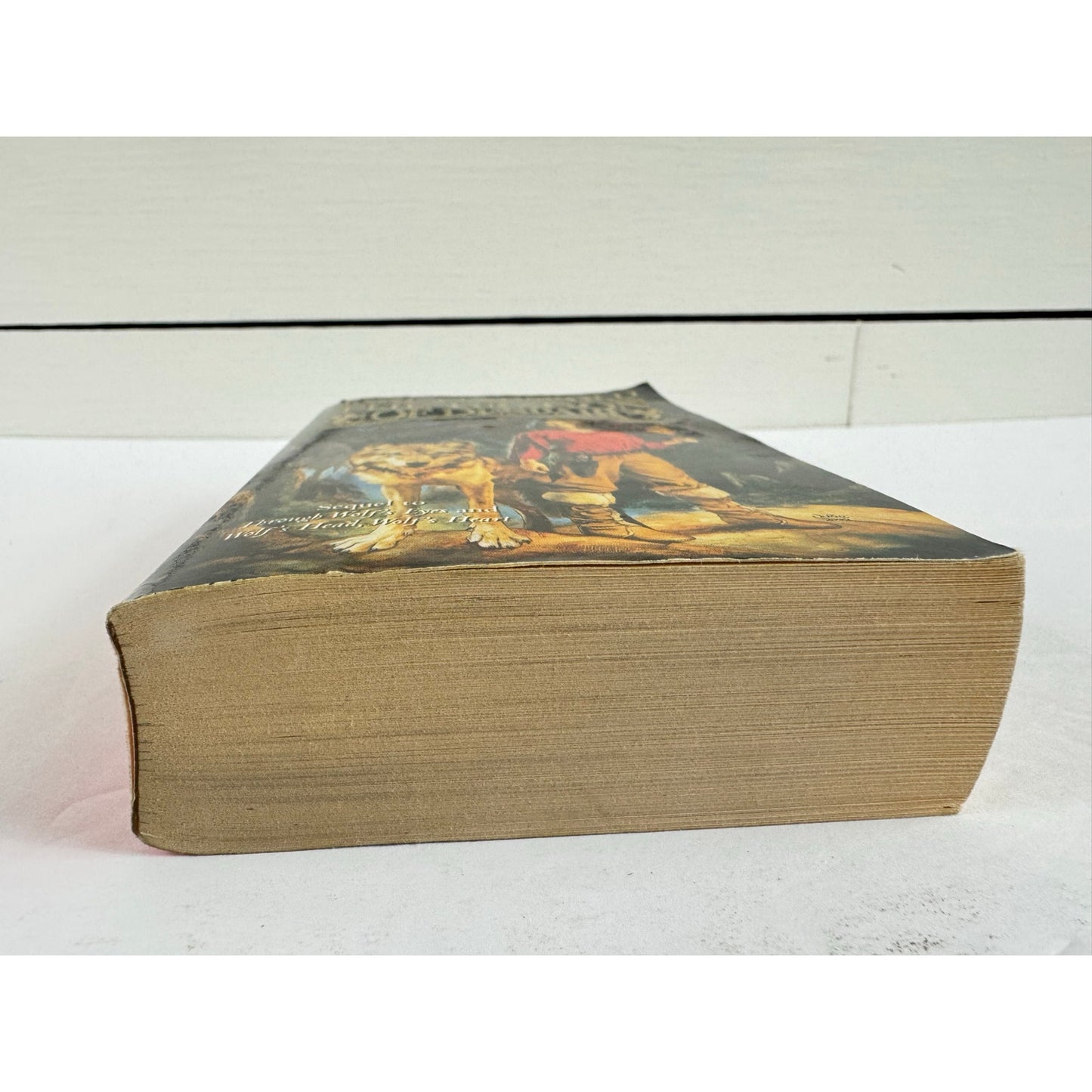 The Dragon of Despair by Jane Lindskold (Paperback)