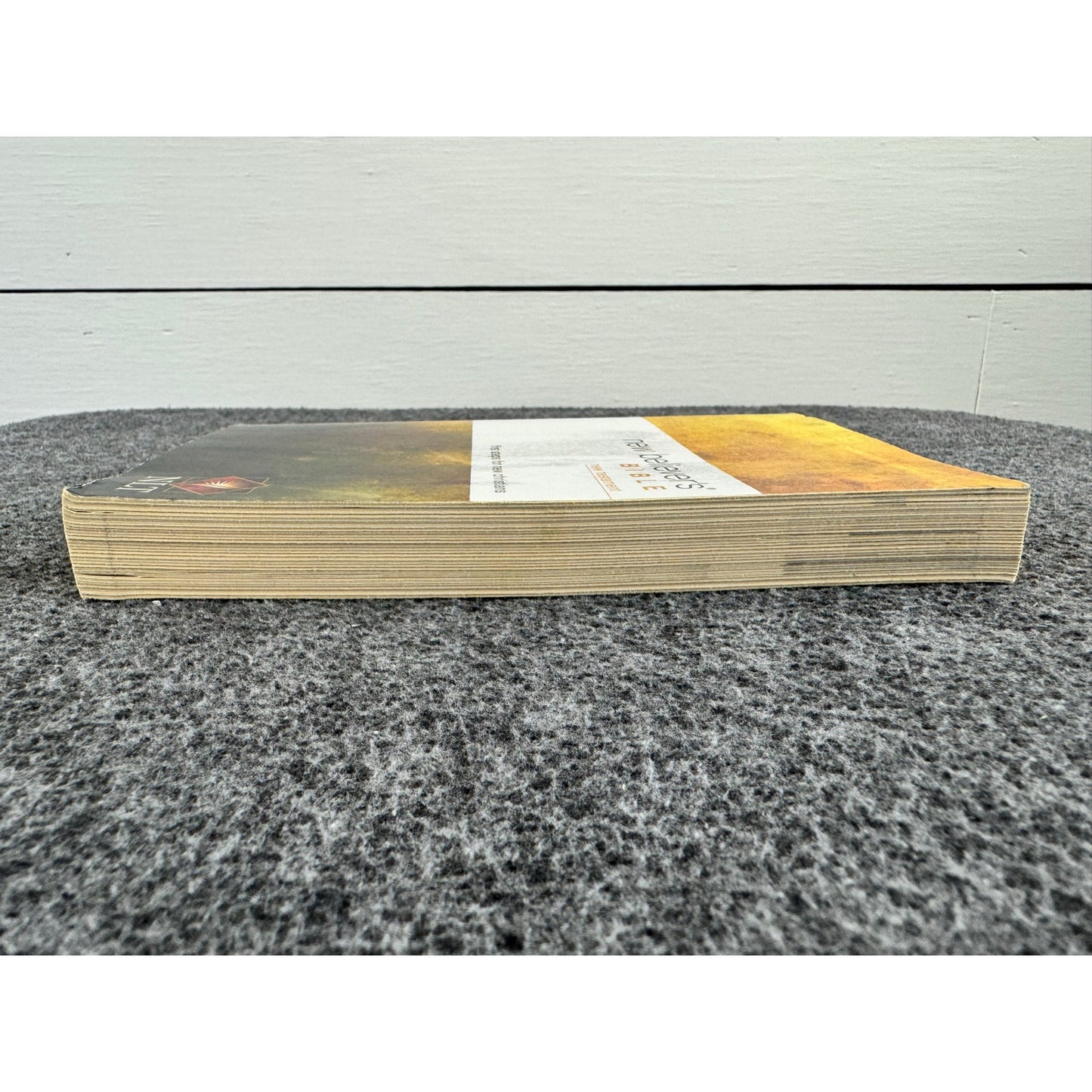 New Believer's Bible-New Testament by Anonymous (Paperback)