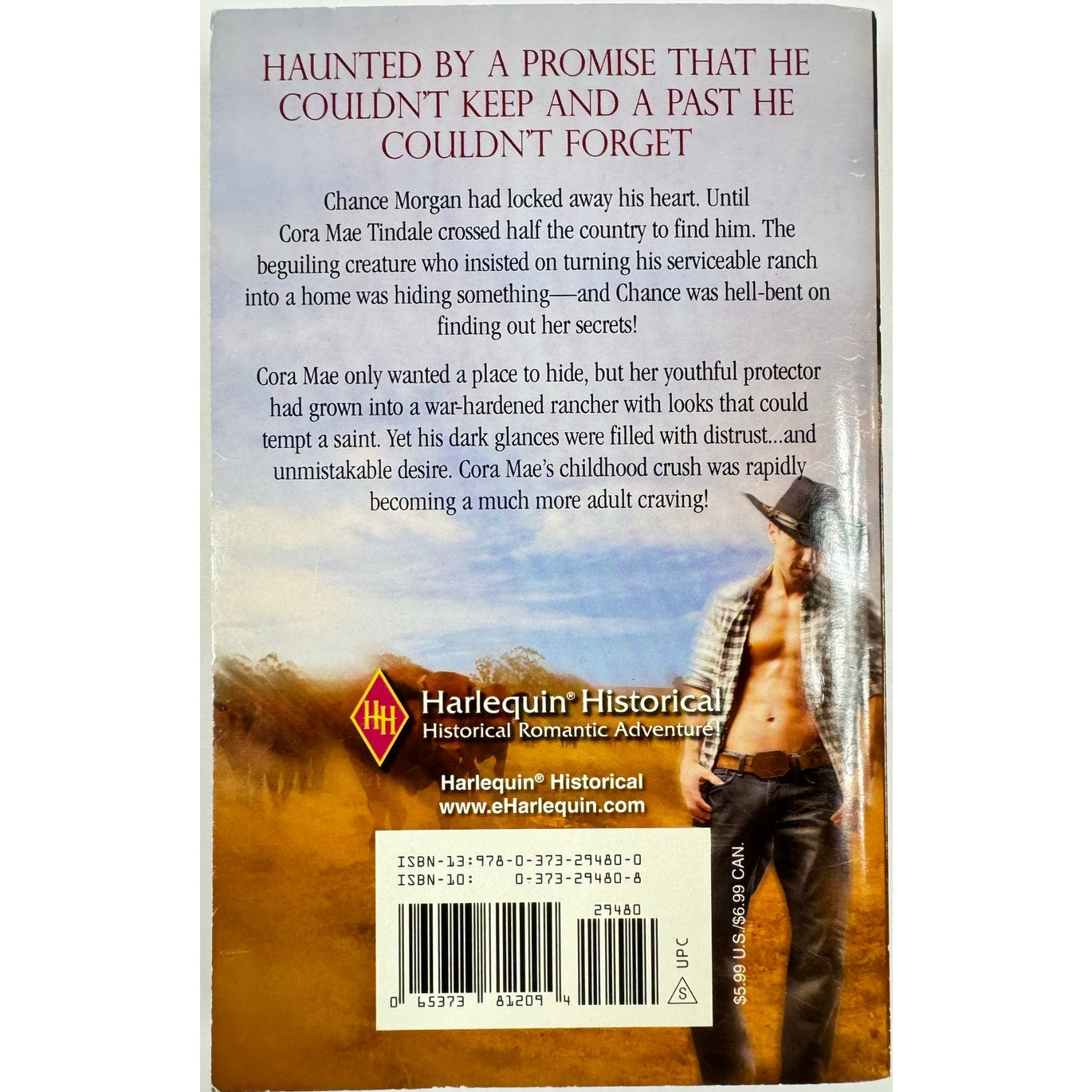 Maverick Wild by Stacey Kayne (Paperback)