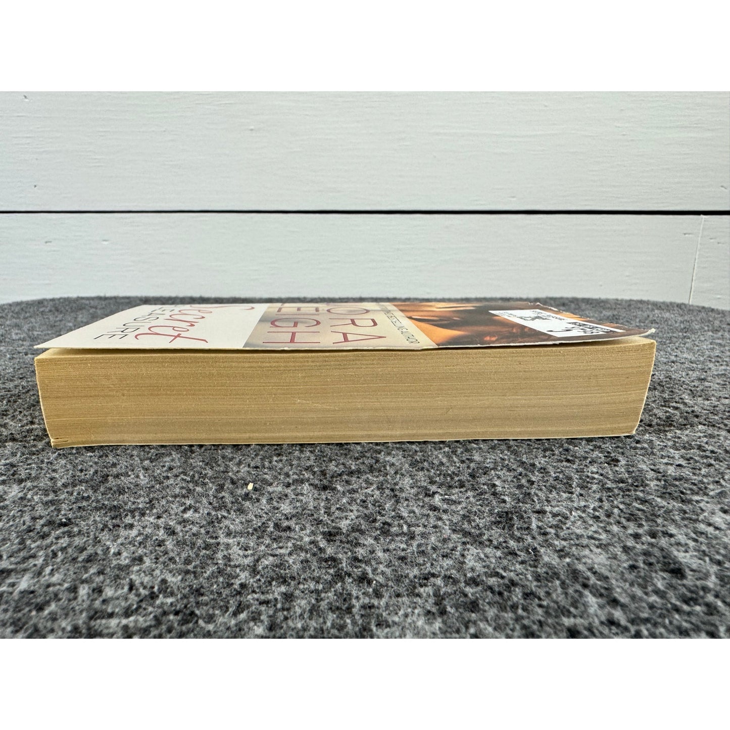 Secret Pleasure by Lora Leigh (Paperback)