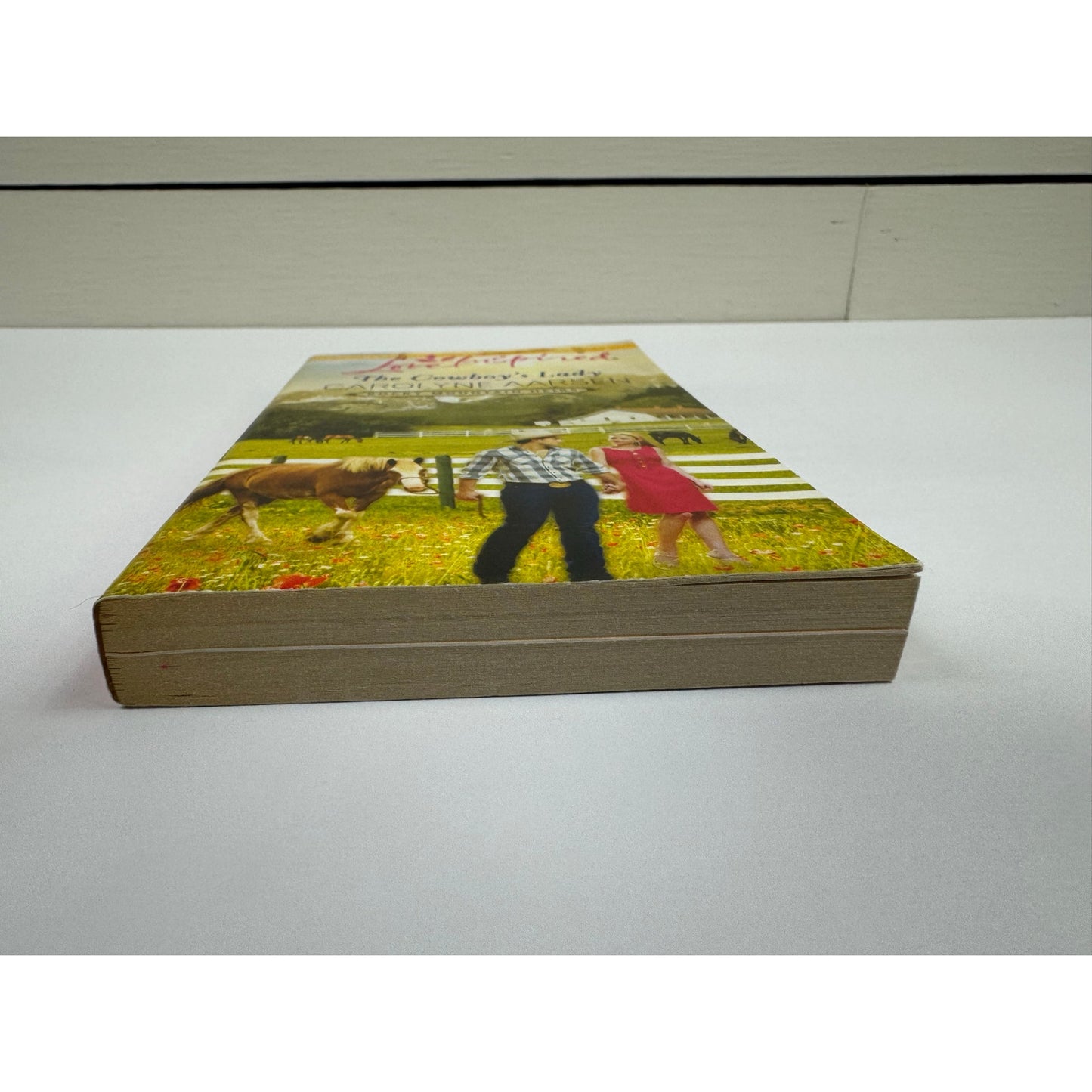 The Cowboy's Lady by Carolyne Aarsen (Paperback)