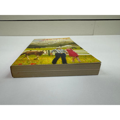 The Cowboy's Lady by Carolyne Aarsen (Paperback)