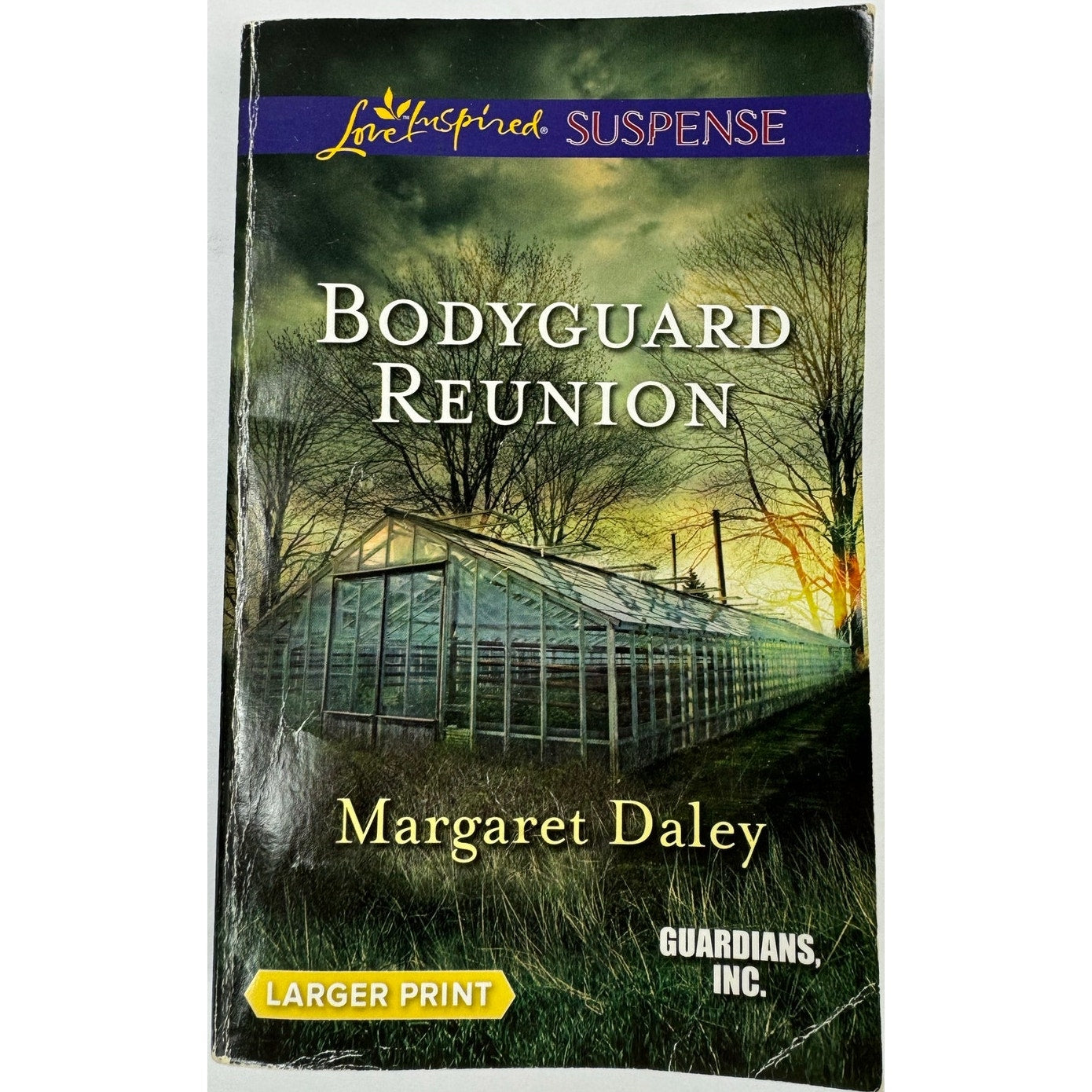 Bodyguard Reunion by Margaret Daley (Paperback)