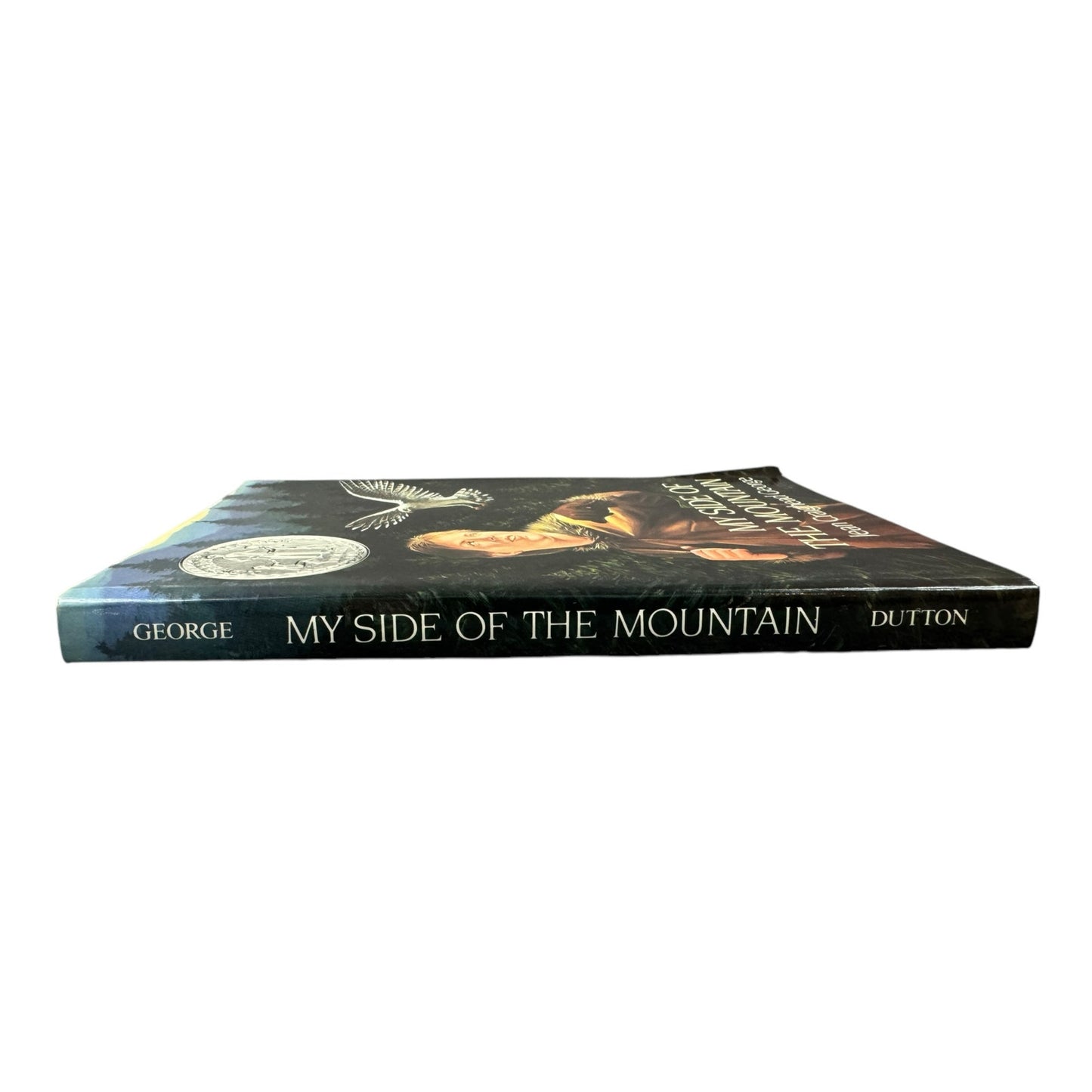 My Side of the Mountain by Jean Craighead George (Paperback)