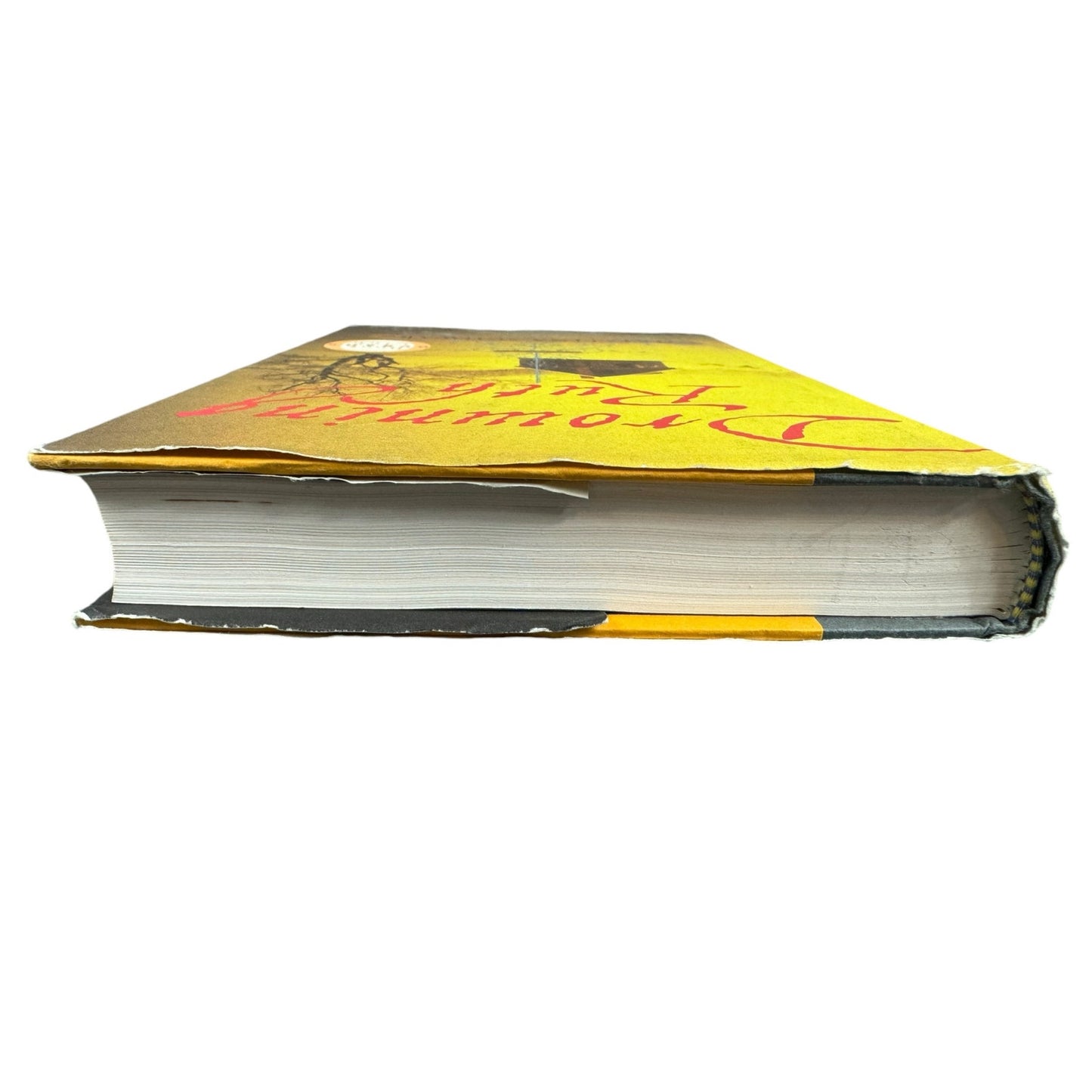 Drowning Ruth by Christina Schwarz (Hardcover)