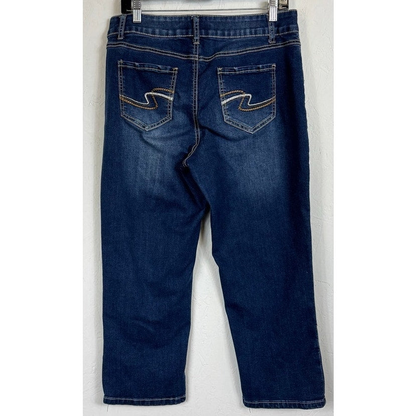 Cato Blue Skinny Capri Women's 12