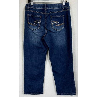 Cato Blue Skinny Capri Women's 12