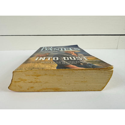 Into Dust by B.J. Daniels (Paperback)