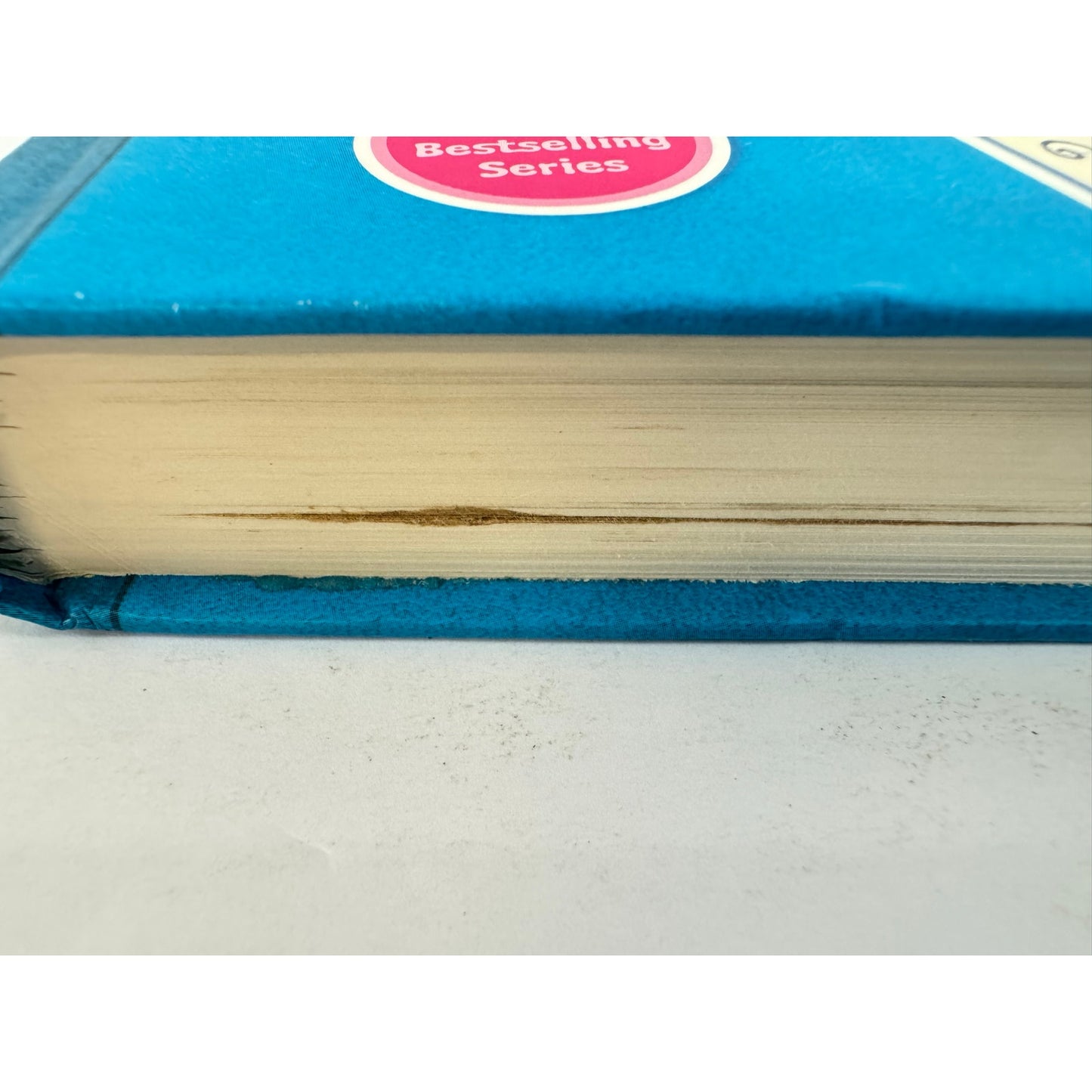 Dork Diaries: Tales from a Not-So-Smart Miss Know-It-All (Hardcover)