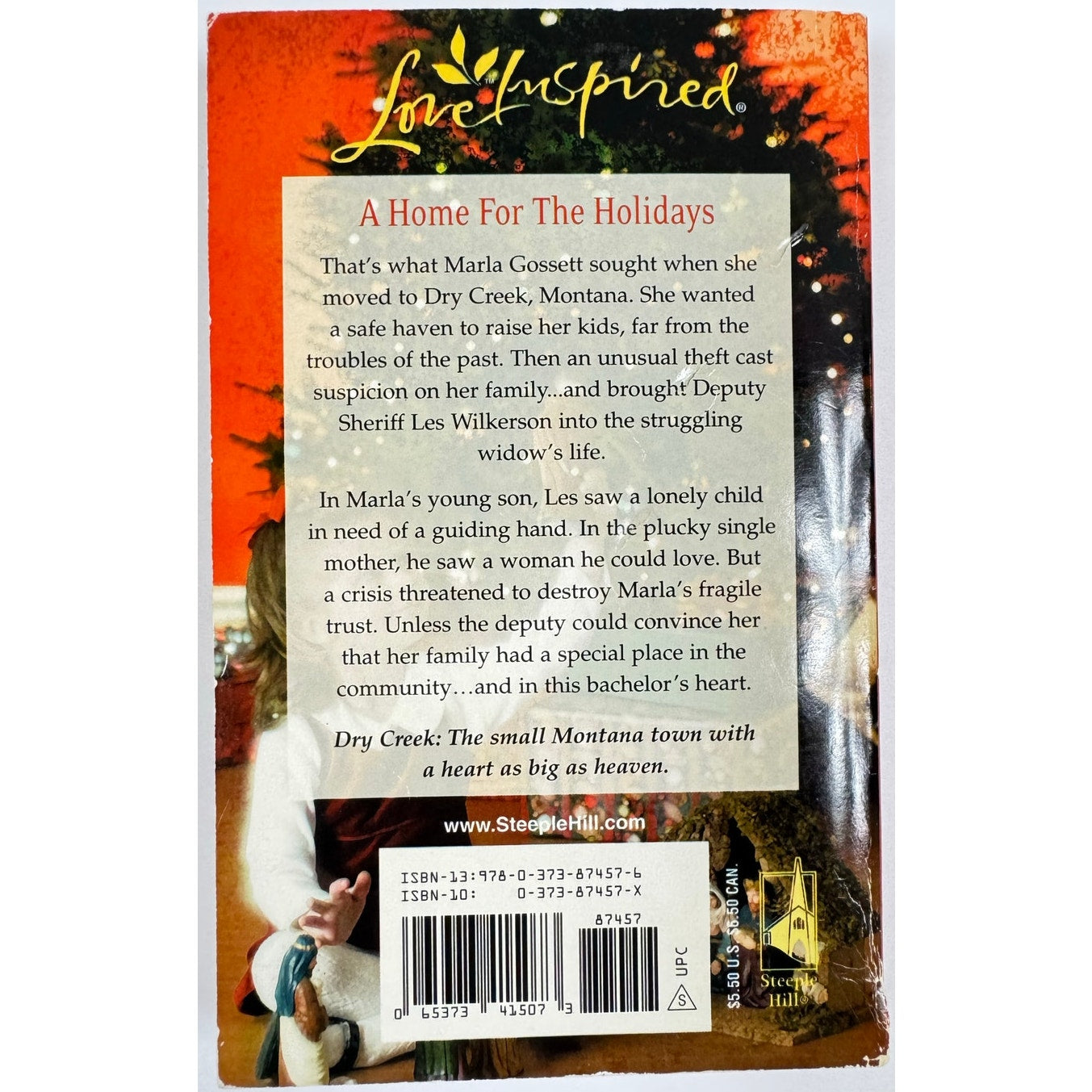 Shepherds Abiding in Dry Creek by Janet Tronstad (Paperback)