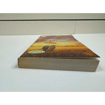 Second Chance in Dry Creek by Janet Tronstad (Paperback)