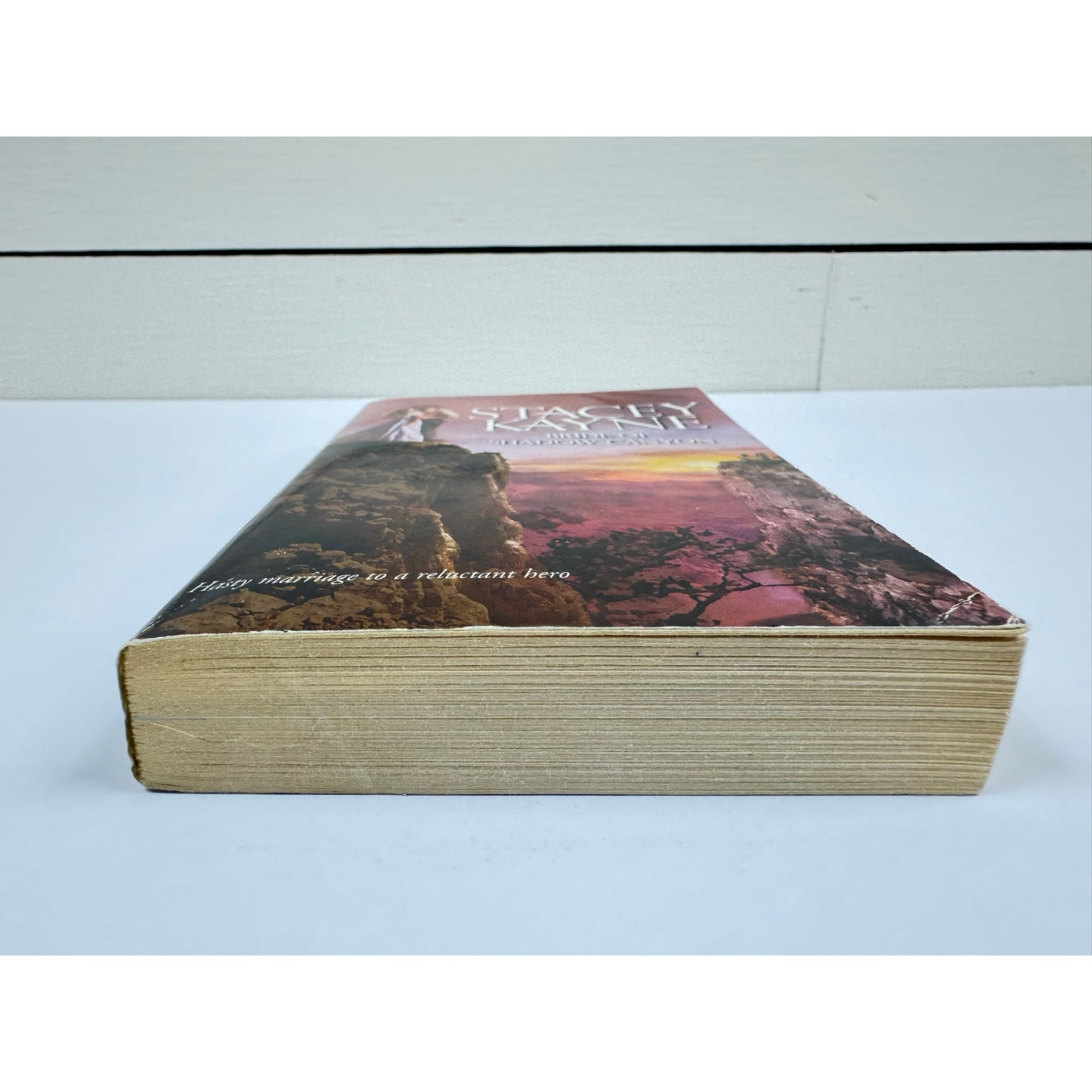 Bride of Shadow Canyon by Stacey Kayne (Paperback)