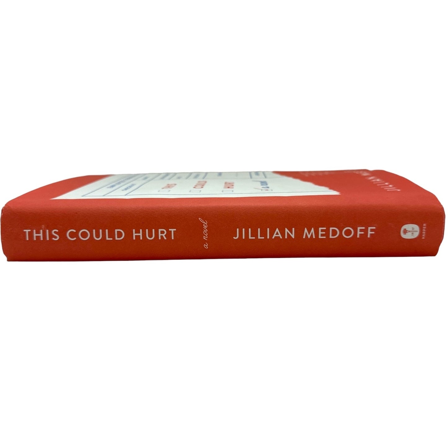 This Could Hurt by Jillian Medoff (Hardcover)