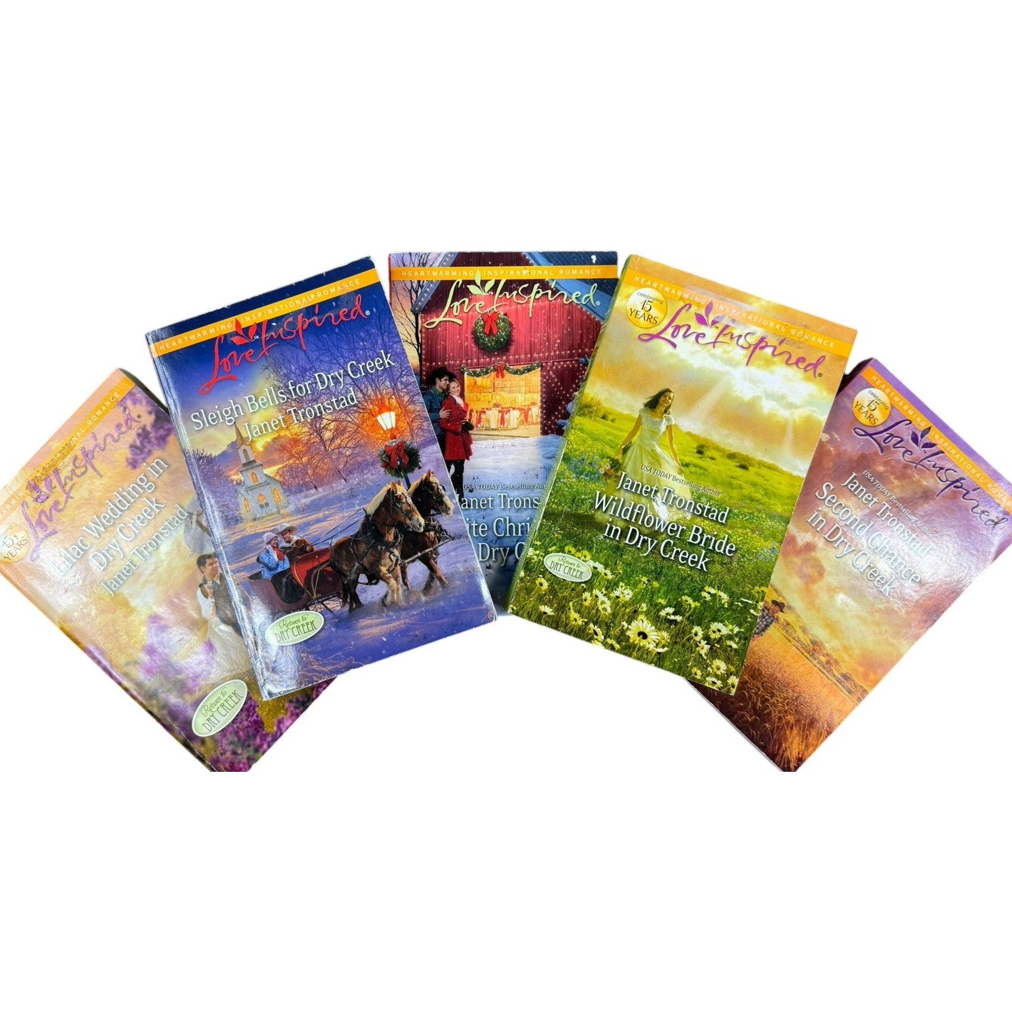 Janet Tronstad Bundle (5 Books) Paperback