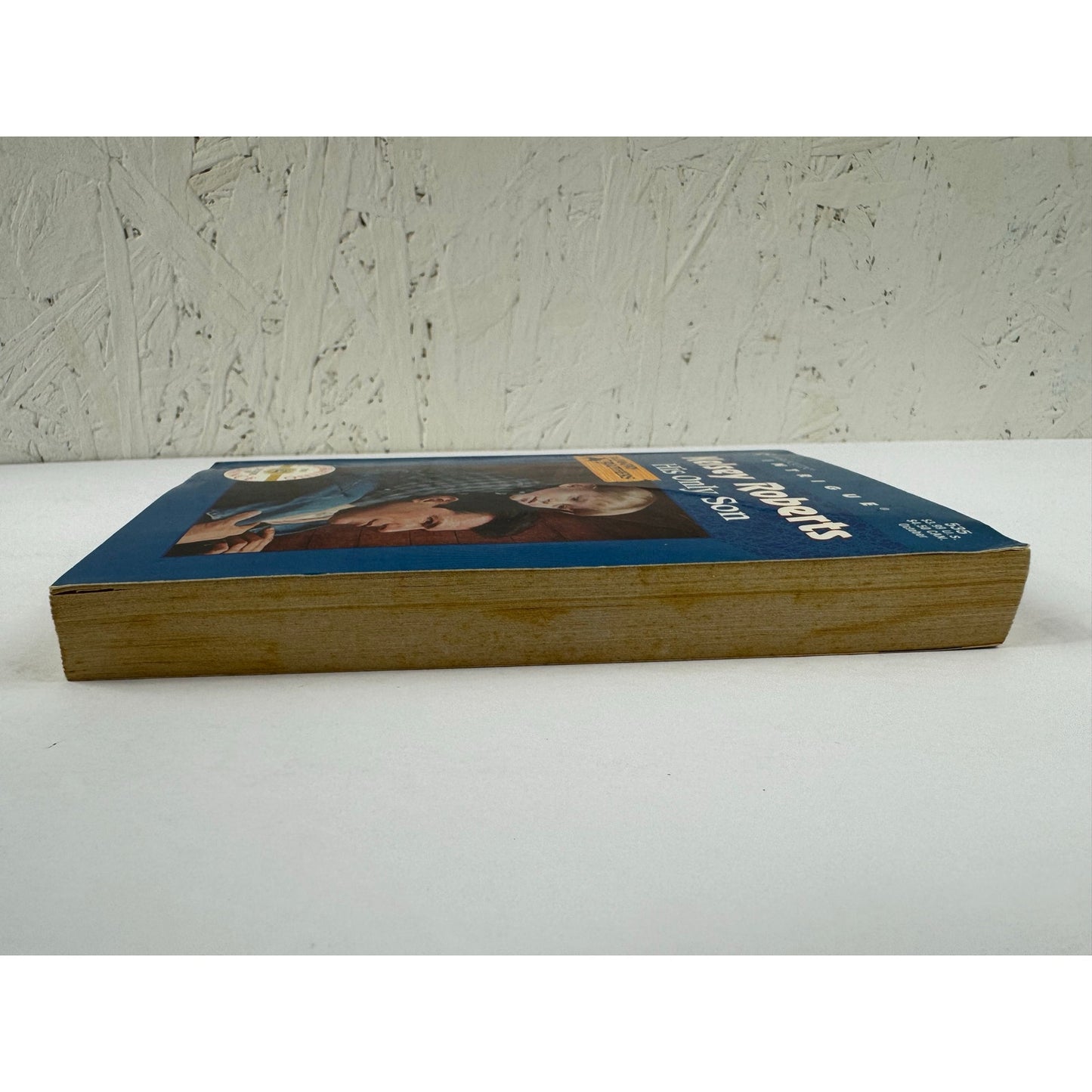 His Only Son by Kelsey Roberts (Paperback)