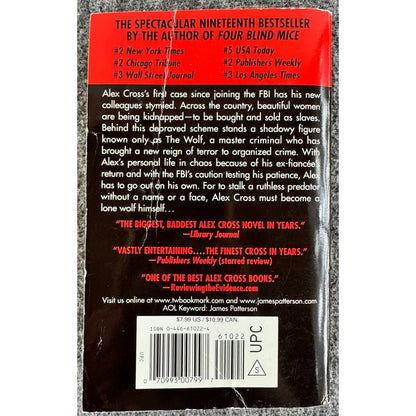 The Big Bad Wolf by James Patterson (Paperback)