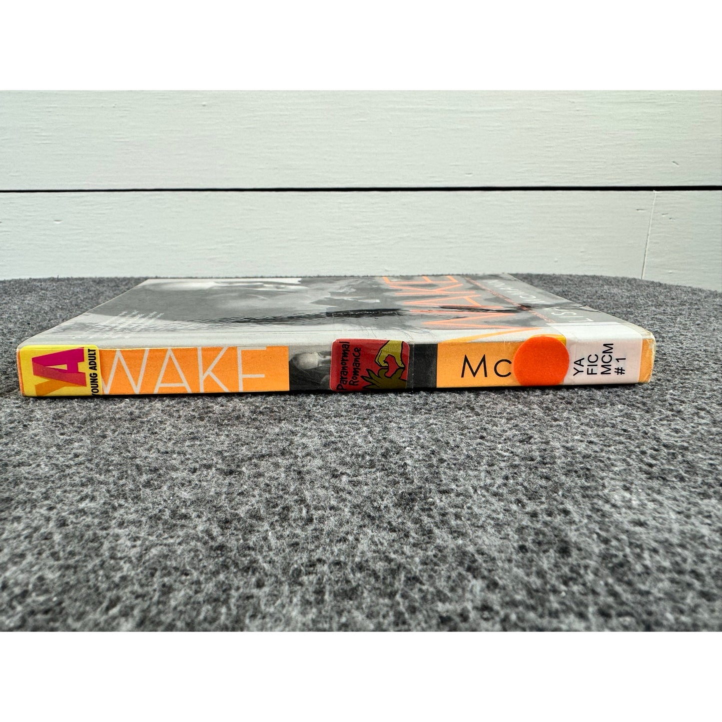 Wake by Lisa McMann (Paperback)