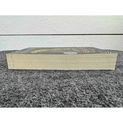 In The Afterlight by Alexandra Bracken (Paperback)