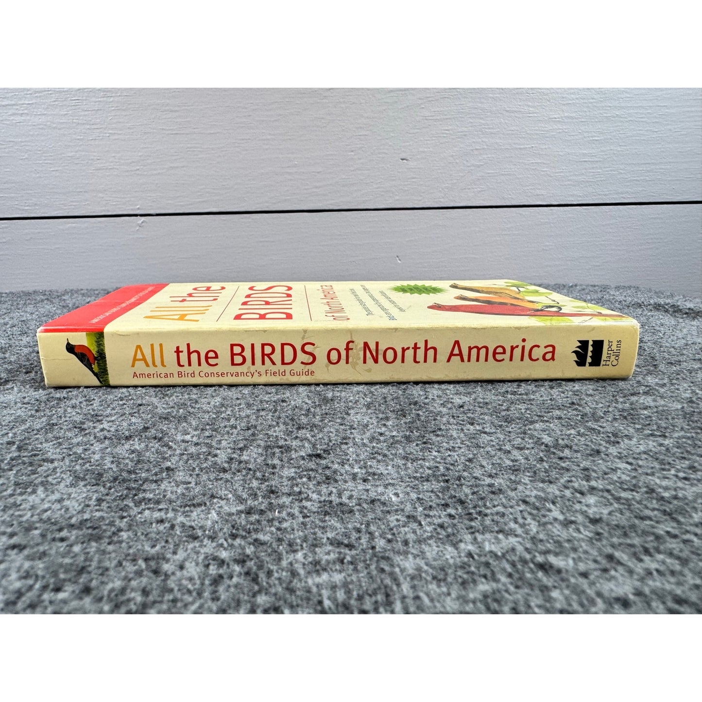 All the Birds of North America by Jack Griggs (Paperback)