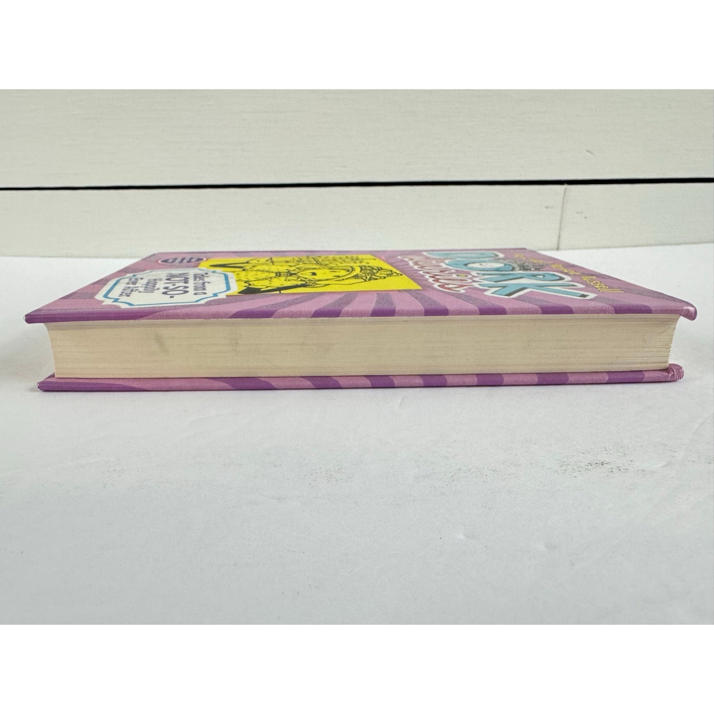 Dork Diaries: Tales from a Not-So-Happily Ever After (Hardcover)