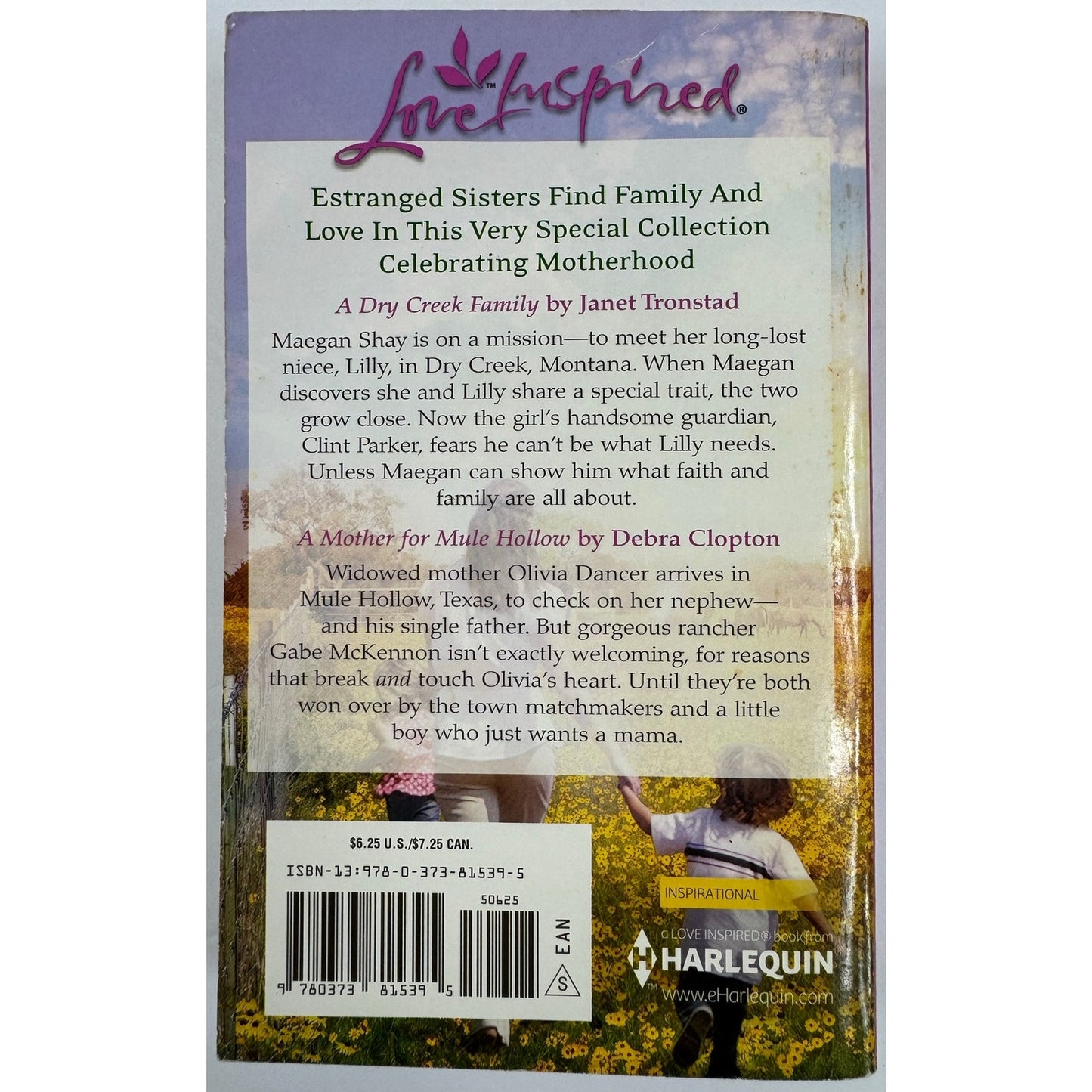 Small Town Moms: A Dry Creek Family / A Mother For Mule Hollow (Paperback)