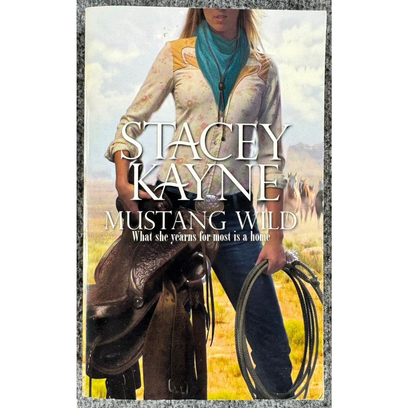 Mustang Wild by Stacey Kayne (Paperback)