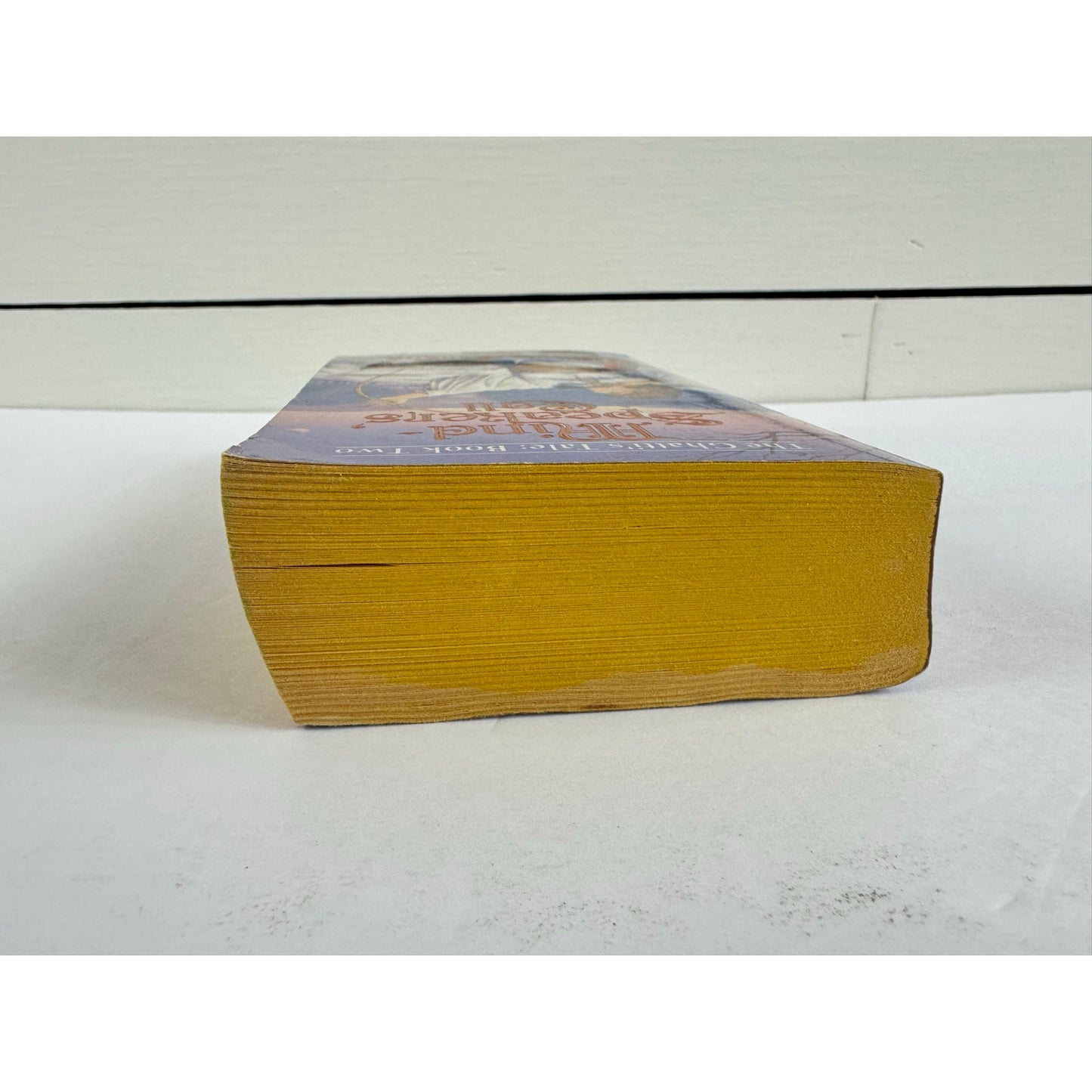Mind-Speaker's Call by Gayle Greeno (Paperback)