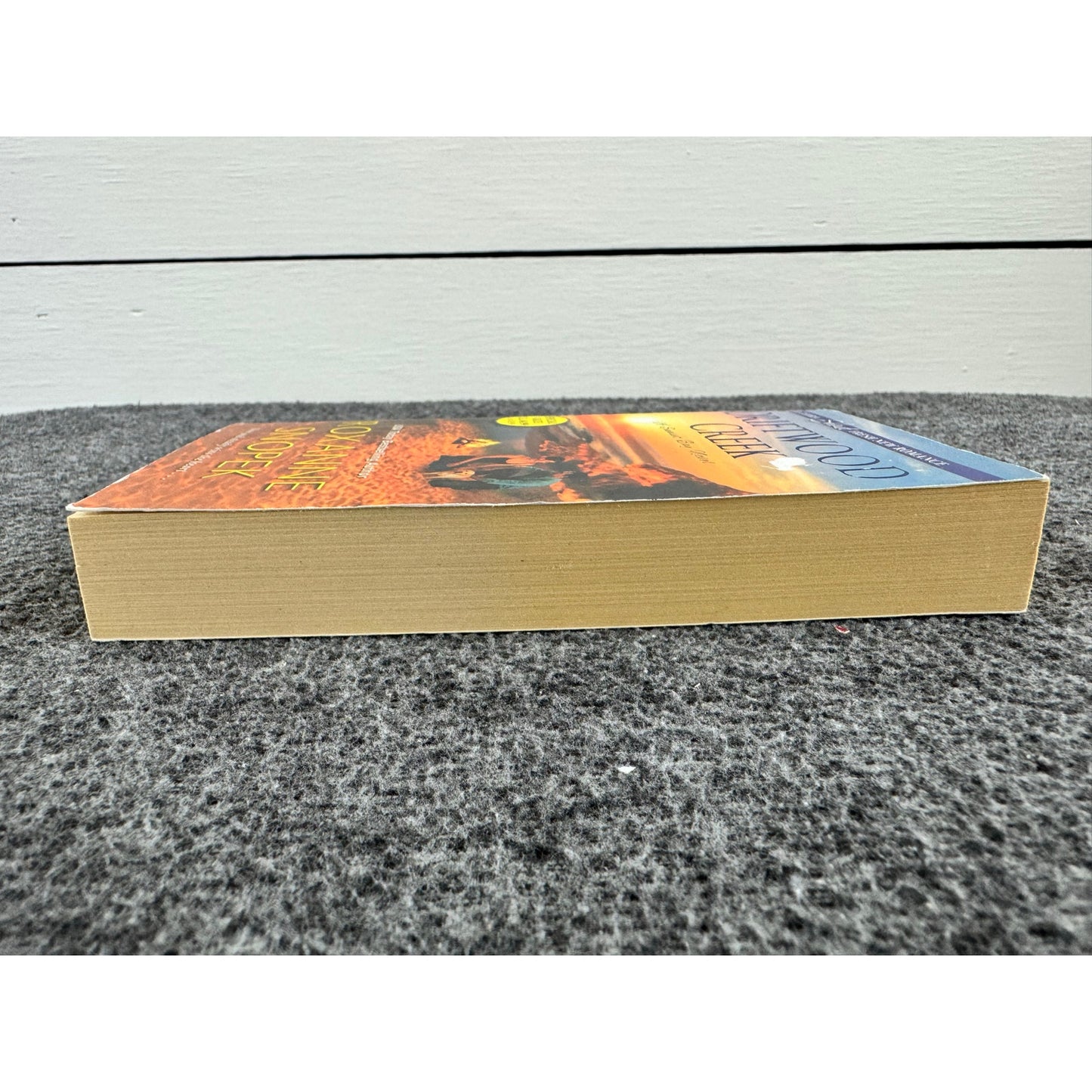 Driftwood Creek by Roxanne Snopek (Paperback)