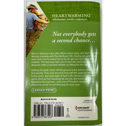 The Long Road Home by Lynn Patrick (Paperback) (Large Print)