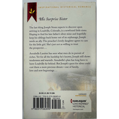 Rocky Mountain Dreams by Danica Favorite (Paperback)