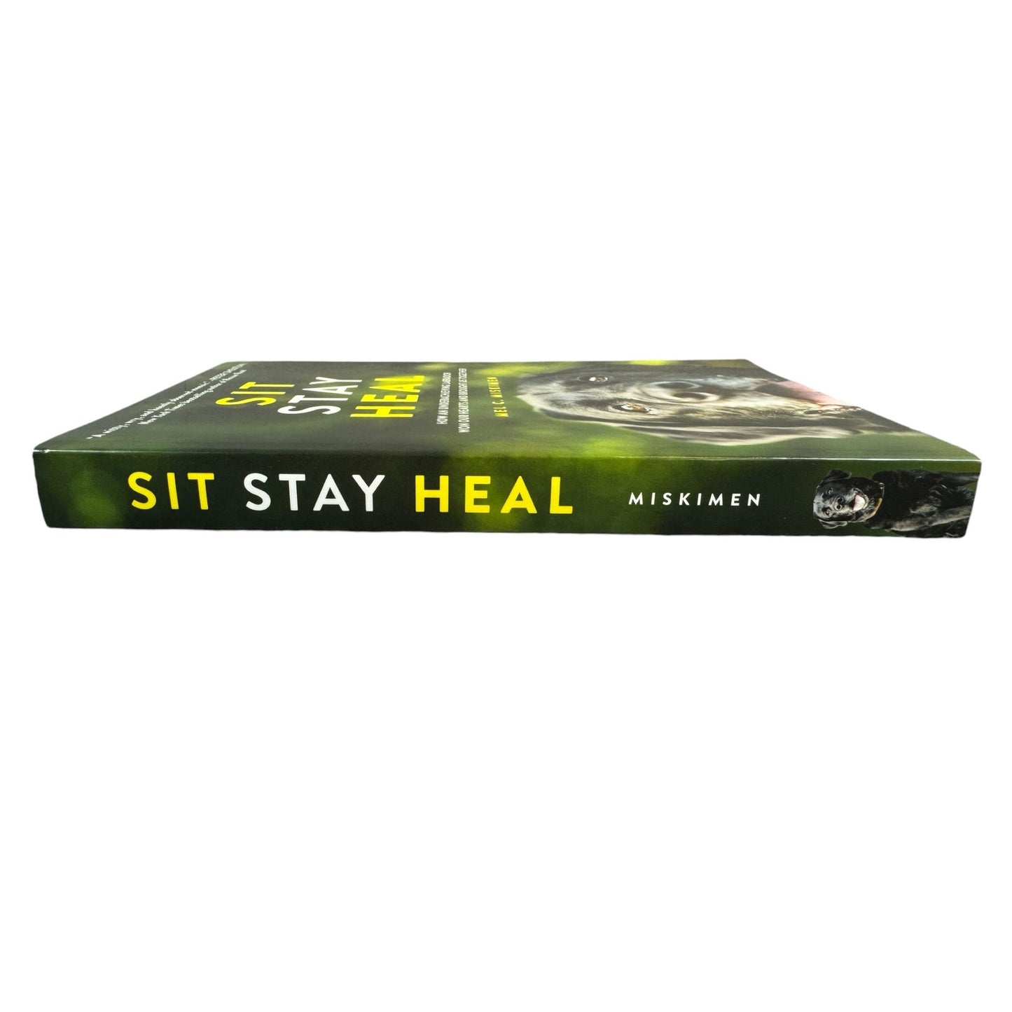 Sit Stay Heal by Mel C. Miskimen (Paperback)