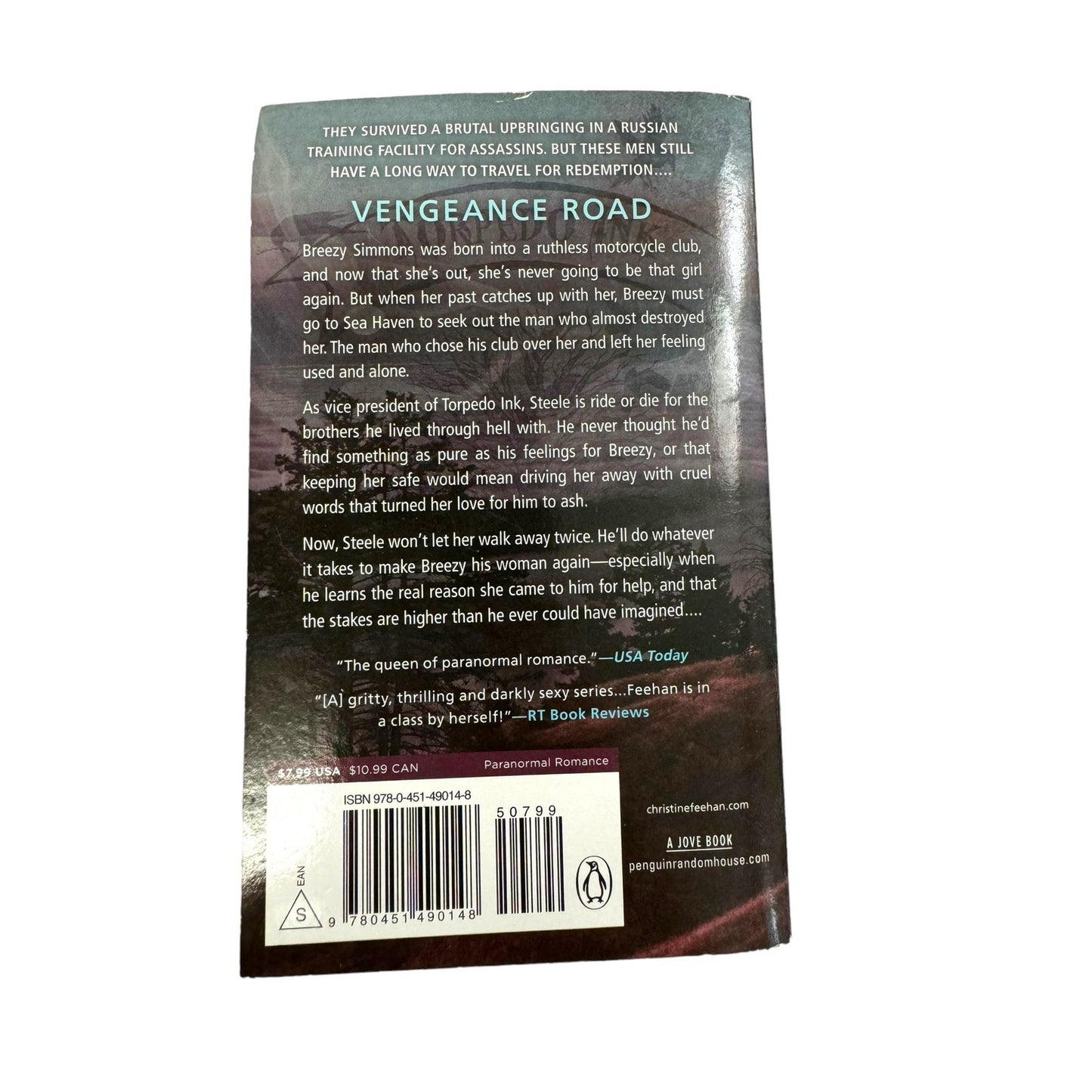 Vengeance Road by Christine Feehan (Paperback)