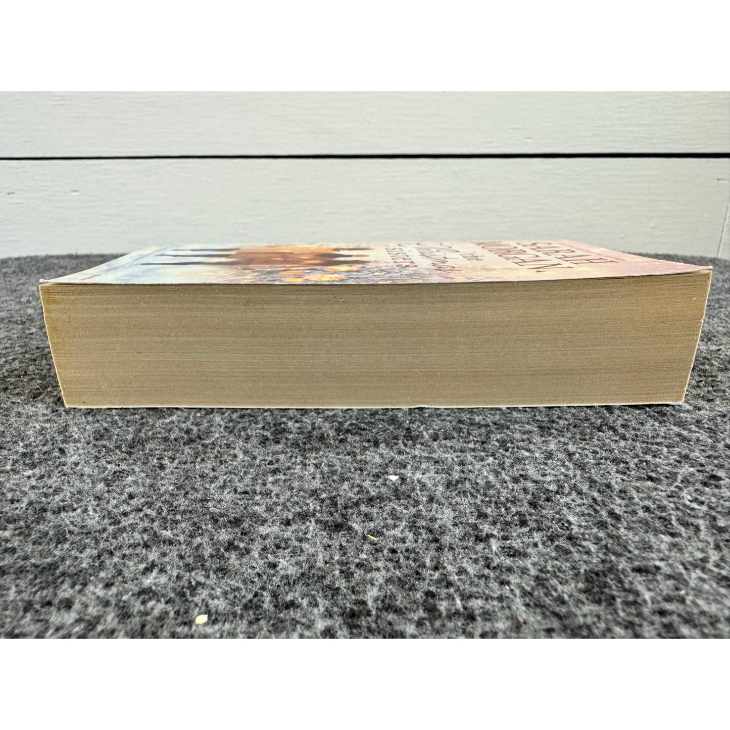 The Christmas Sisters by Susan Morgan (Paperback)