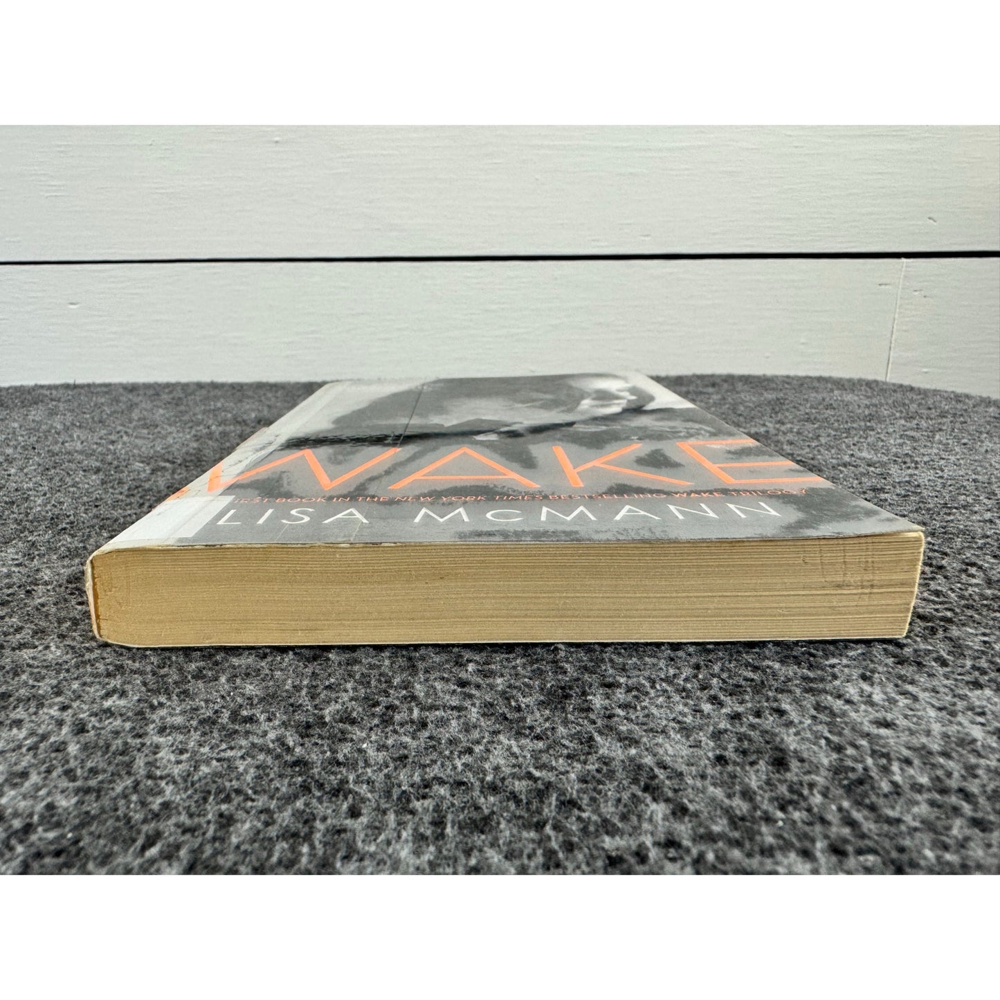 Wake by Lisa McMann (Paperback)