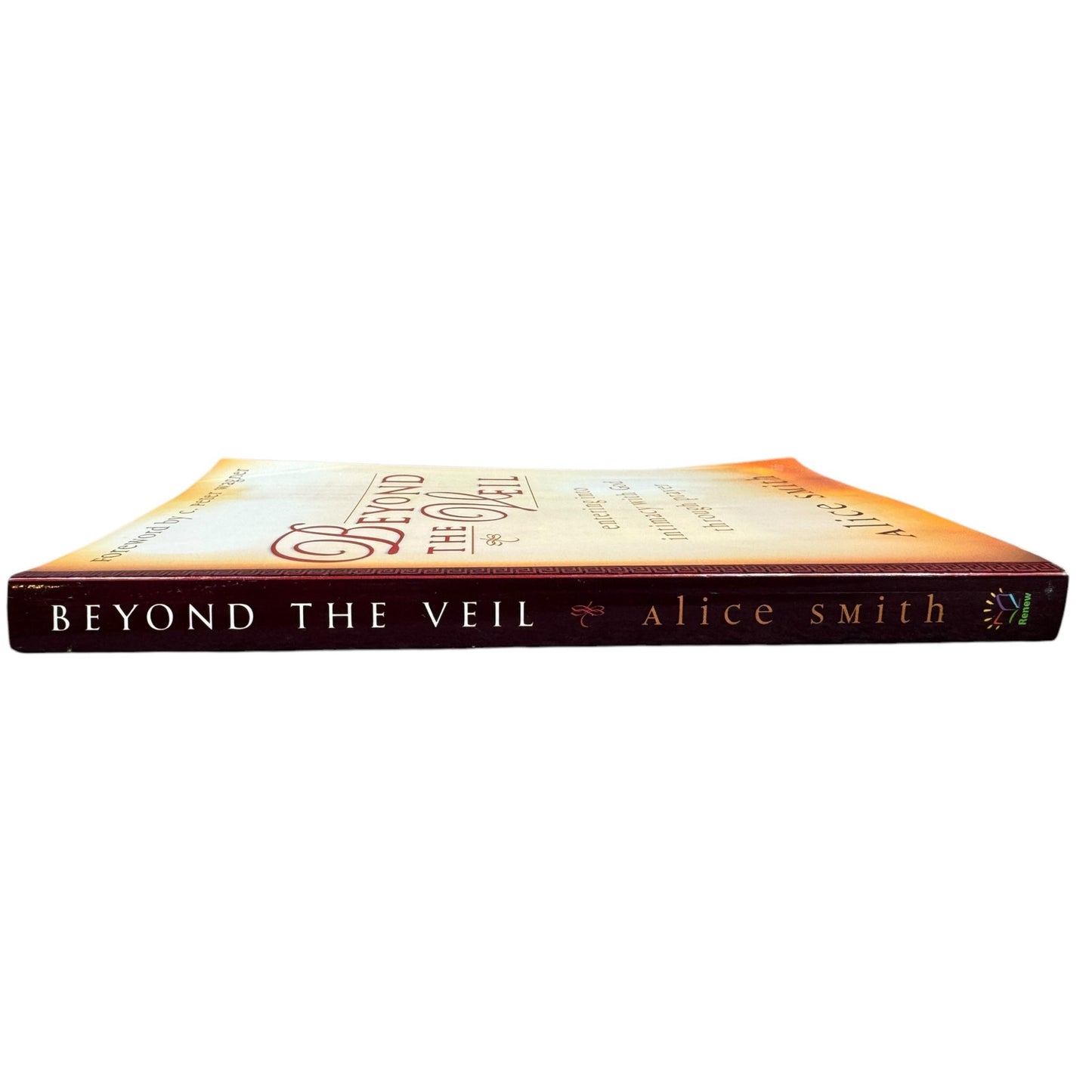 Beyond the Veil by Alice Smith (Paperback)