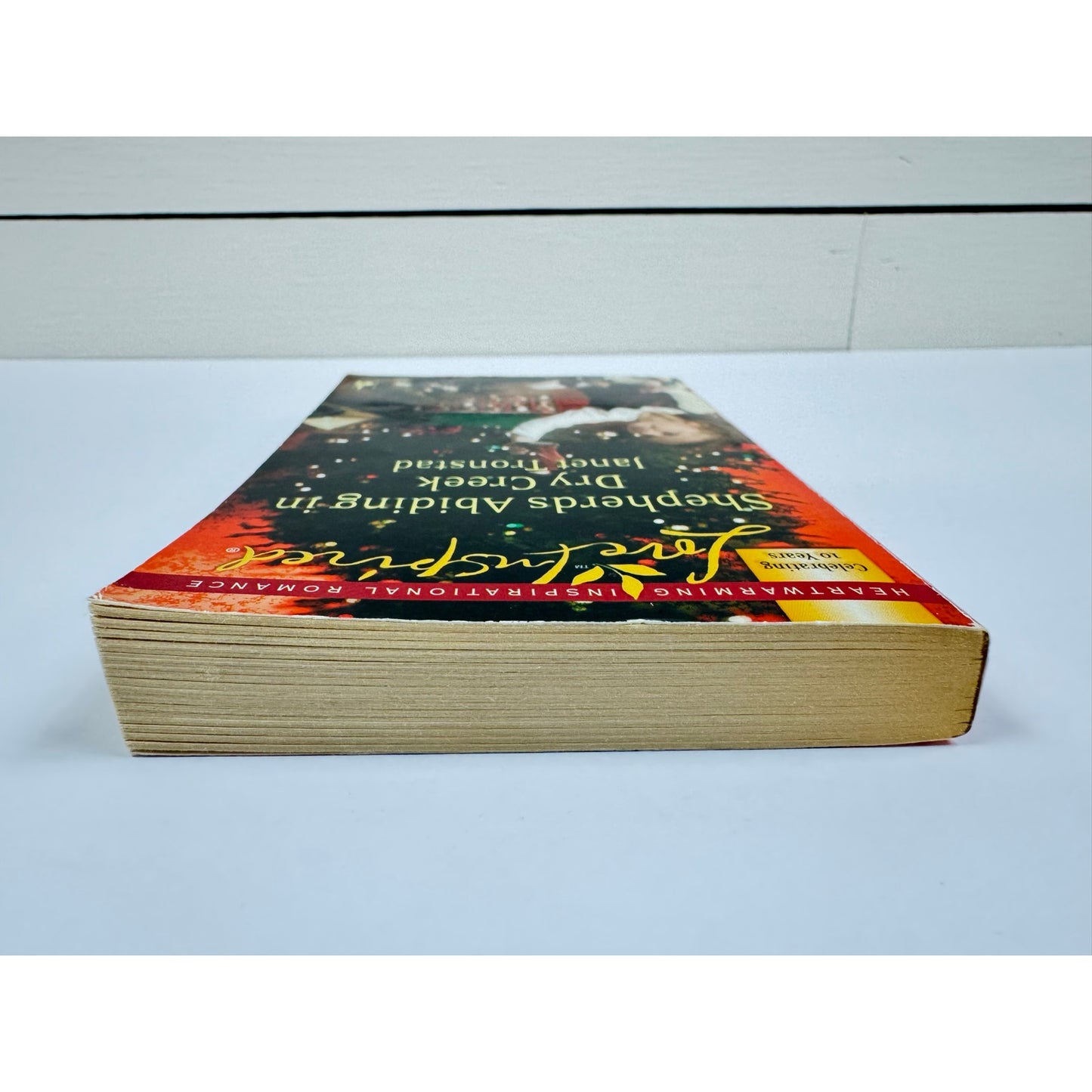 Shepherds Abiding in Dry Creek by Janet Tronstad (Paperback)