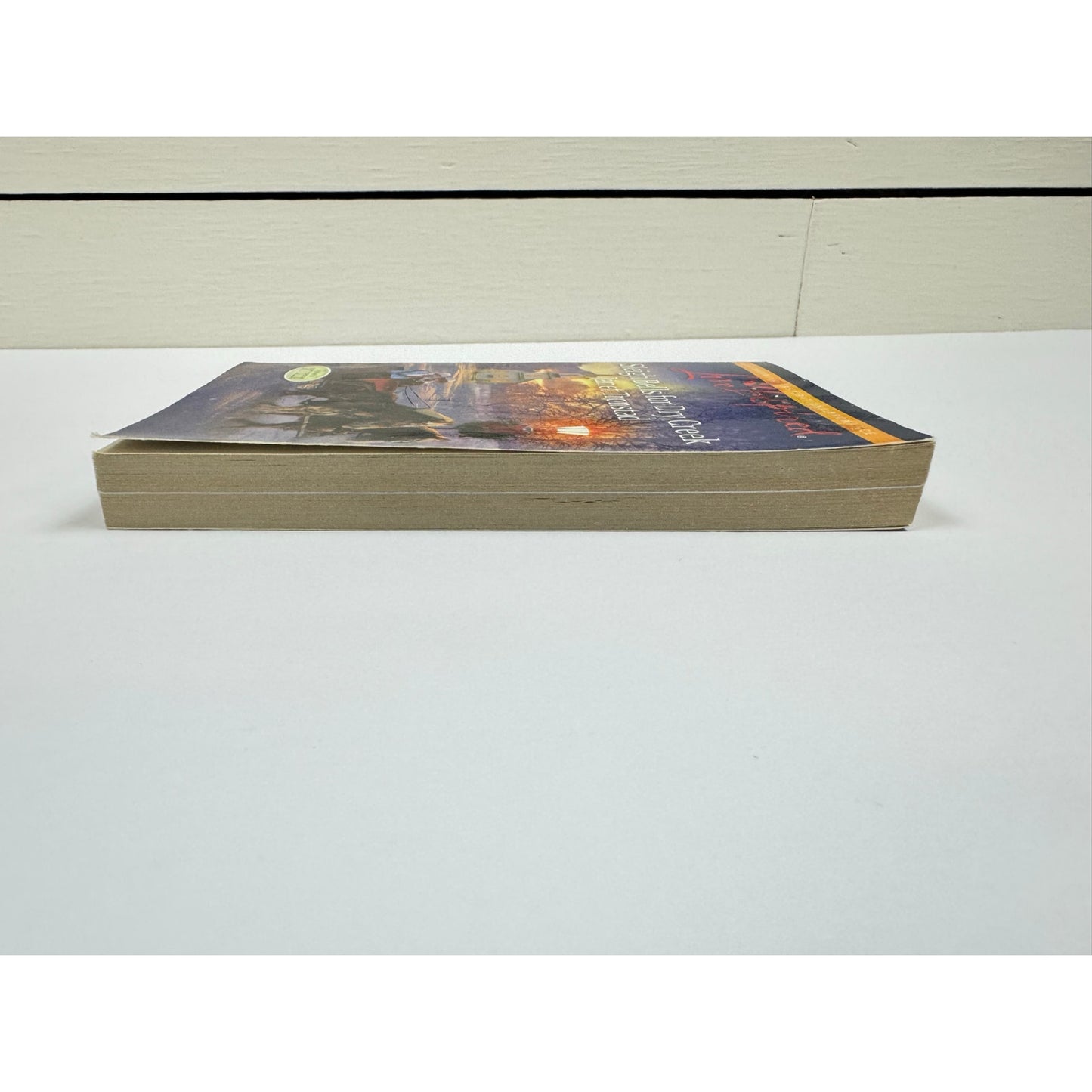 Sleigh Bells for Dry Creek by Janet Tronstad (Paperback)