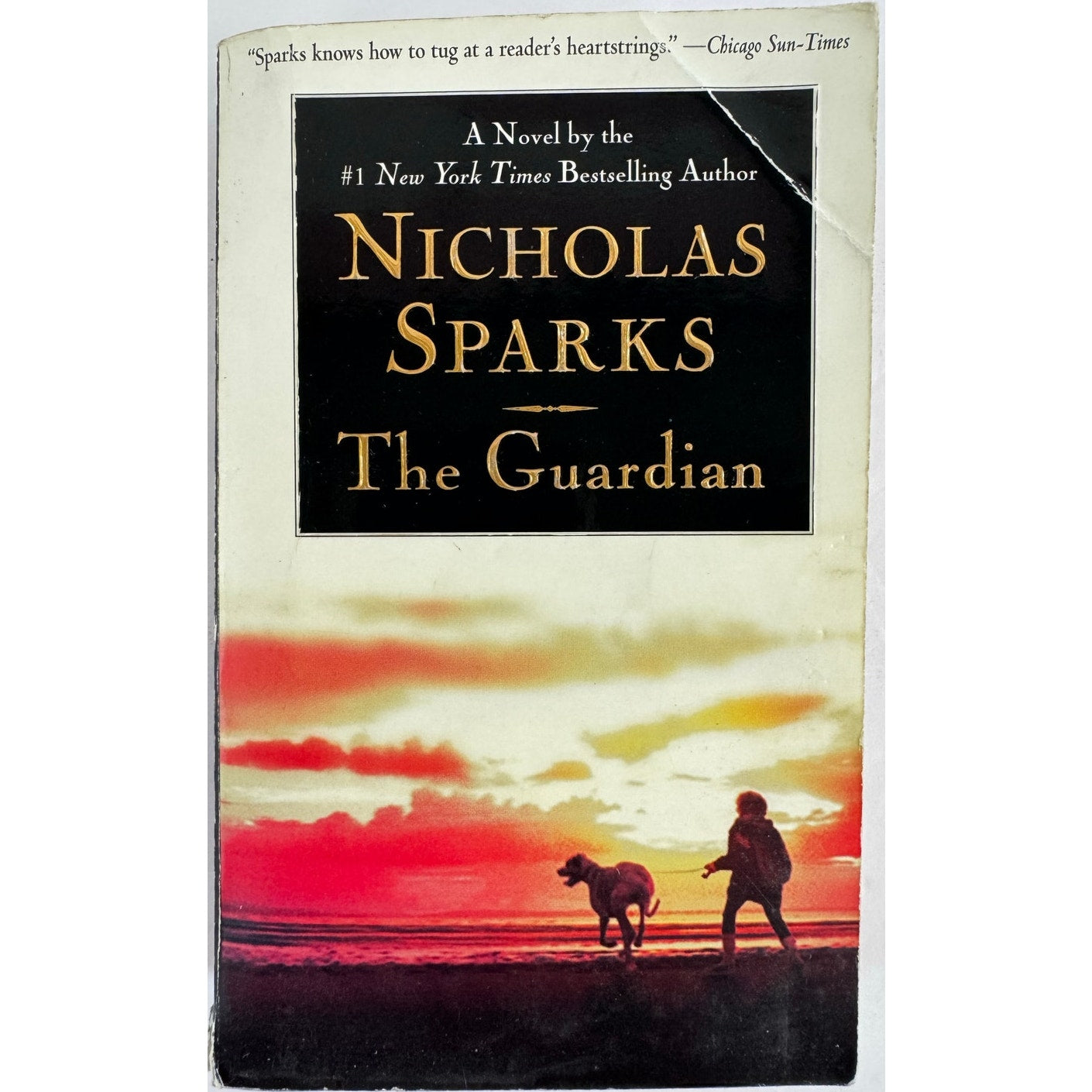 The Guardian by Nicholas Sparks (Paperback)