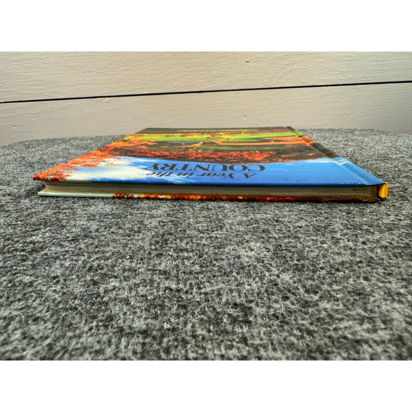 A Year in the Country by Linda Piepenbrink (Hardcover)