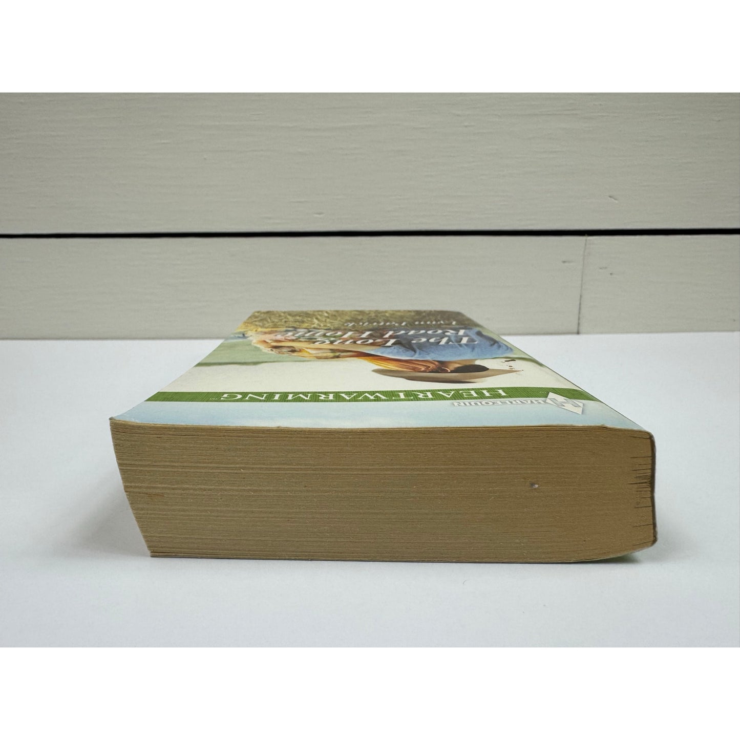 The Long Road Home by Lynn Patrick (Paperback) (Large Print)