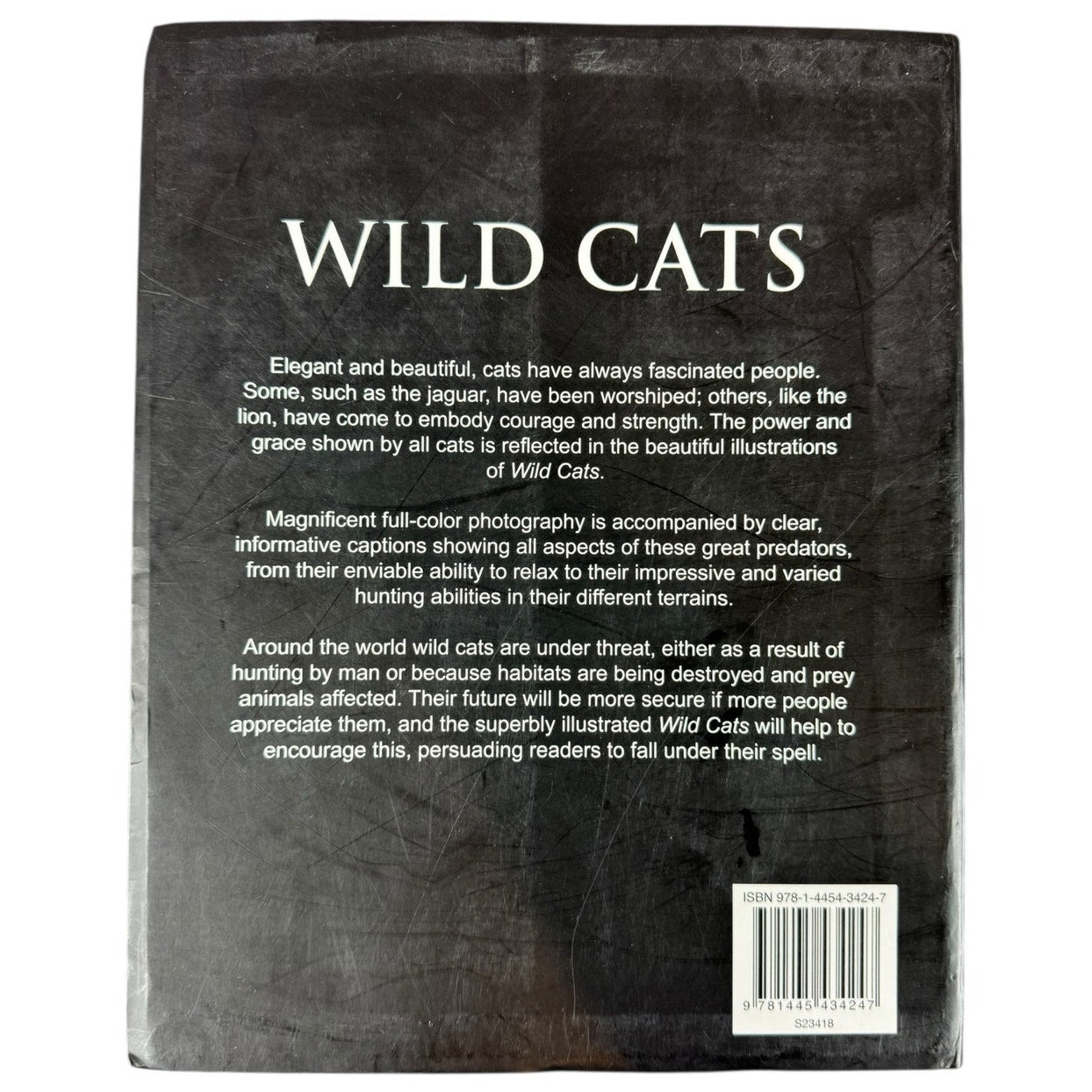 Wild Cats by Mike & Peggy Briggs (Paperback)