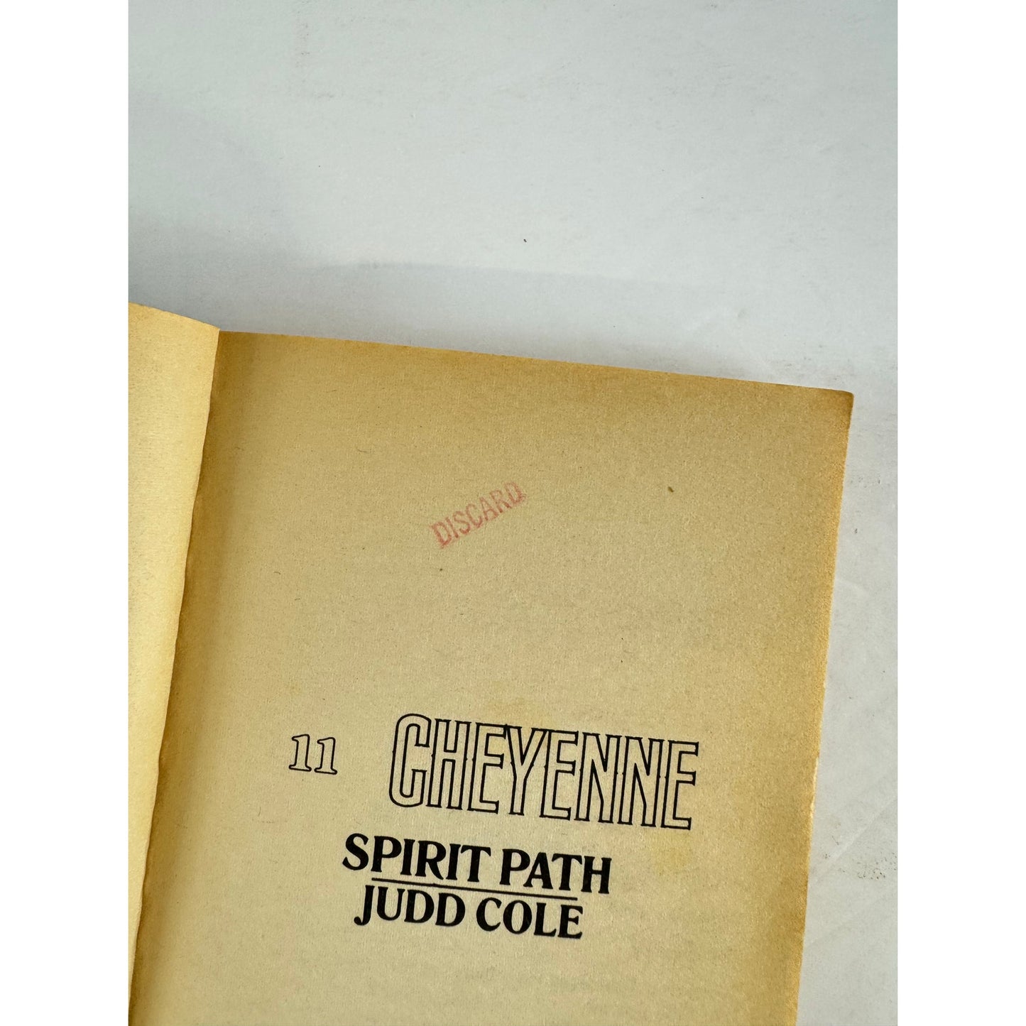 Spirit Path by Judd Cole (Paperback)