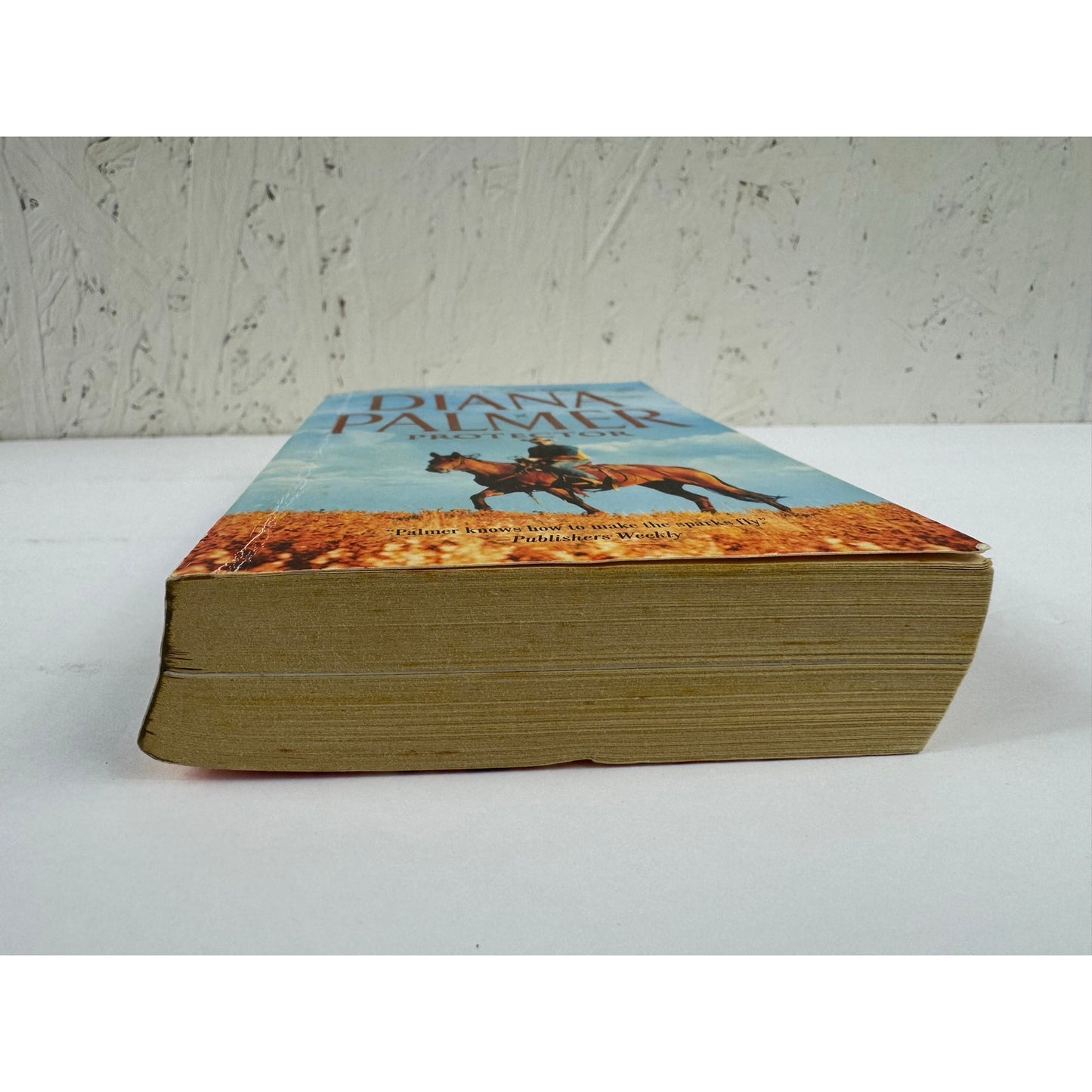Protector by Diana Palmer (Paperback)
