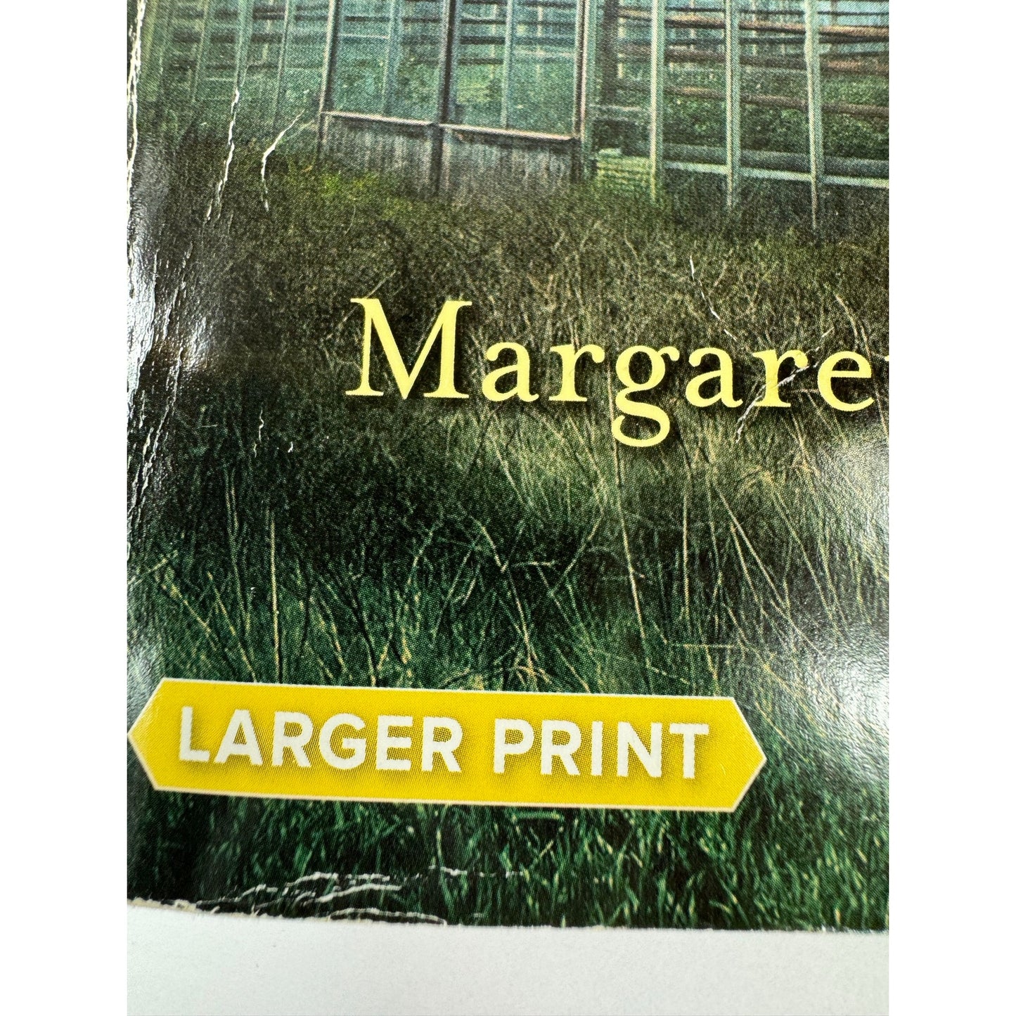 Bodyguard Reunion by Margaret Daley (Paperback)