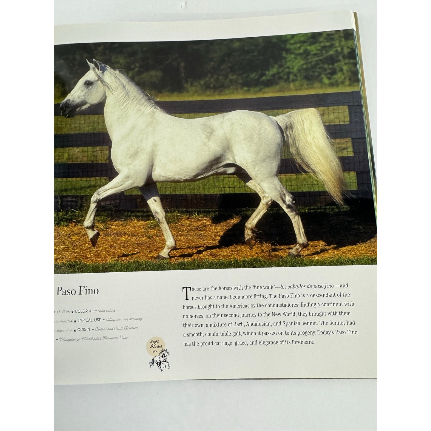 Horse: Magnificent, Playful, Loyal by Catherine Austen (Hardcover)