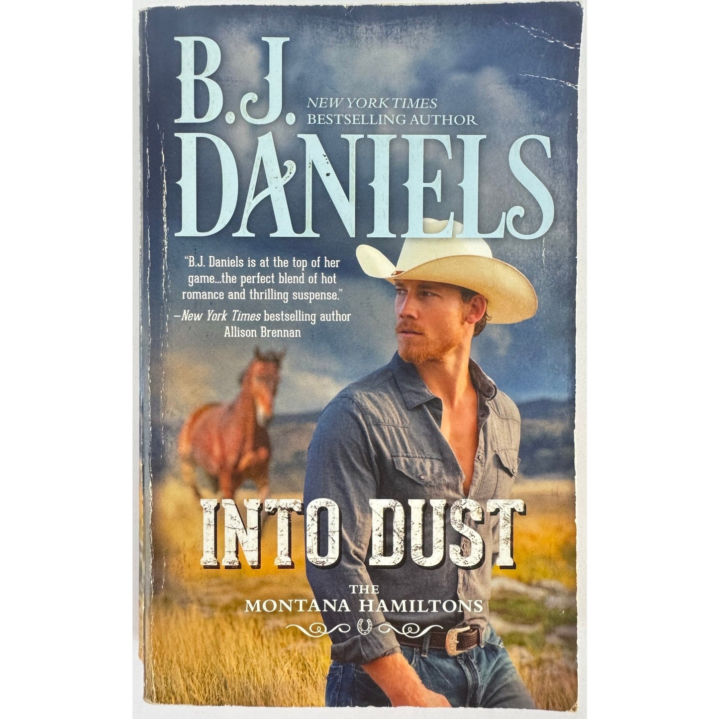 Into Dust by B.J. Daniels (Paperback)