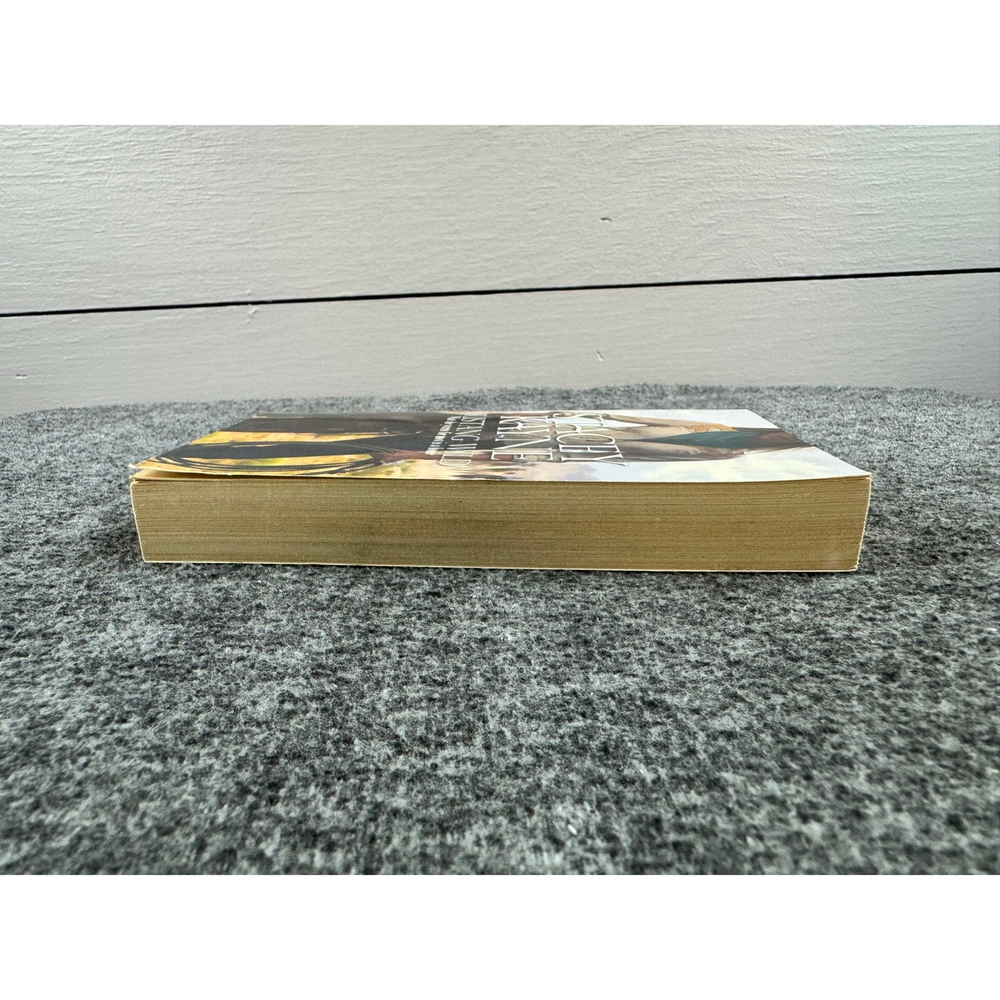 Mustang Wild by Stacey Kayne (Paperback)