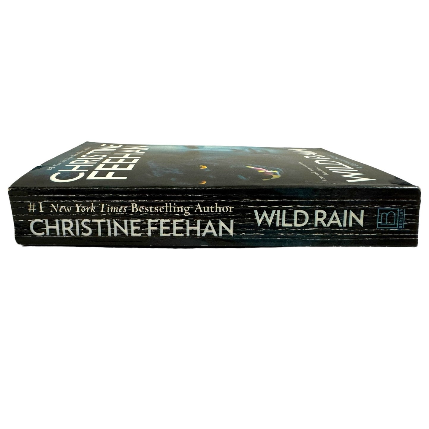 Wild Rain by Christine Feehan (2004, Paperback)