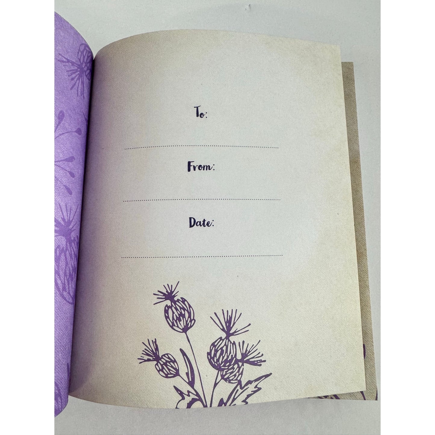 Love Heals by Becca Stevens (Hardcover)