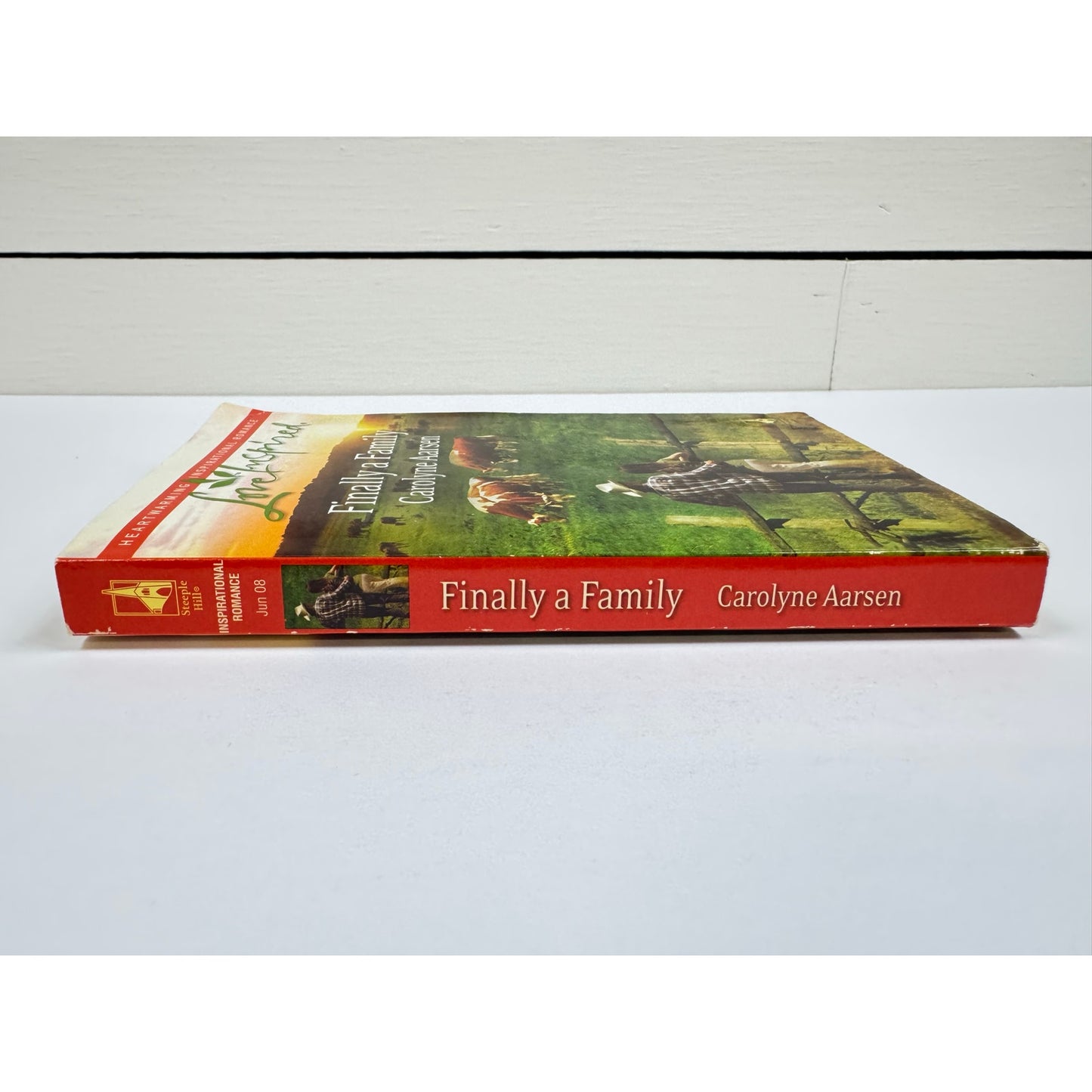 Finally a Family by Carolyne Aarsen (Paperback)